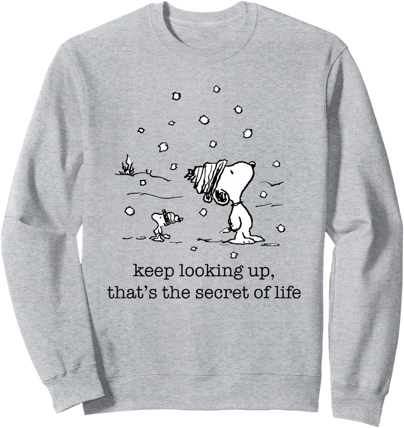 Peanuts Snoopy and Woodstock Christmas Snowfall , white, S Sweatshirt - Sweatshirt | Ash