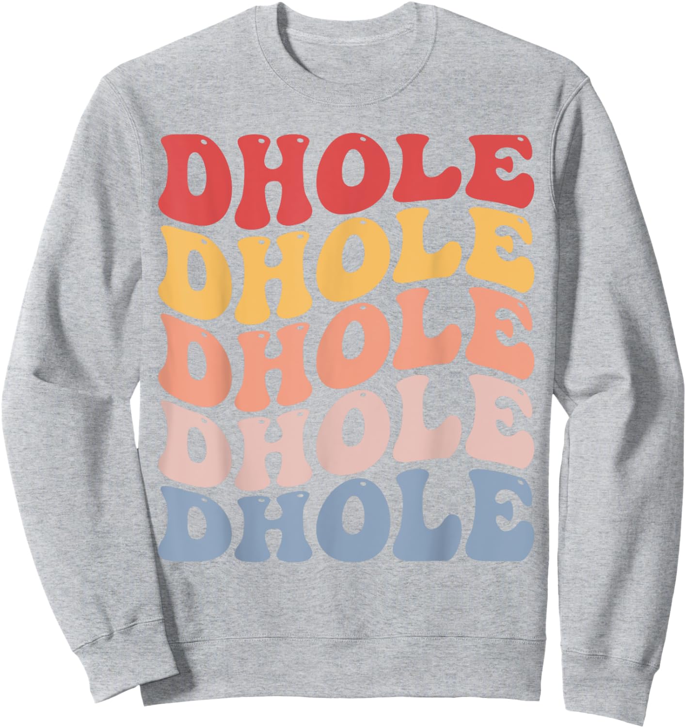 Dhole Groovy Retro Sweatshirt - Sweatshirt | Ash