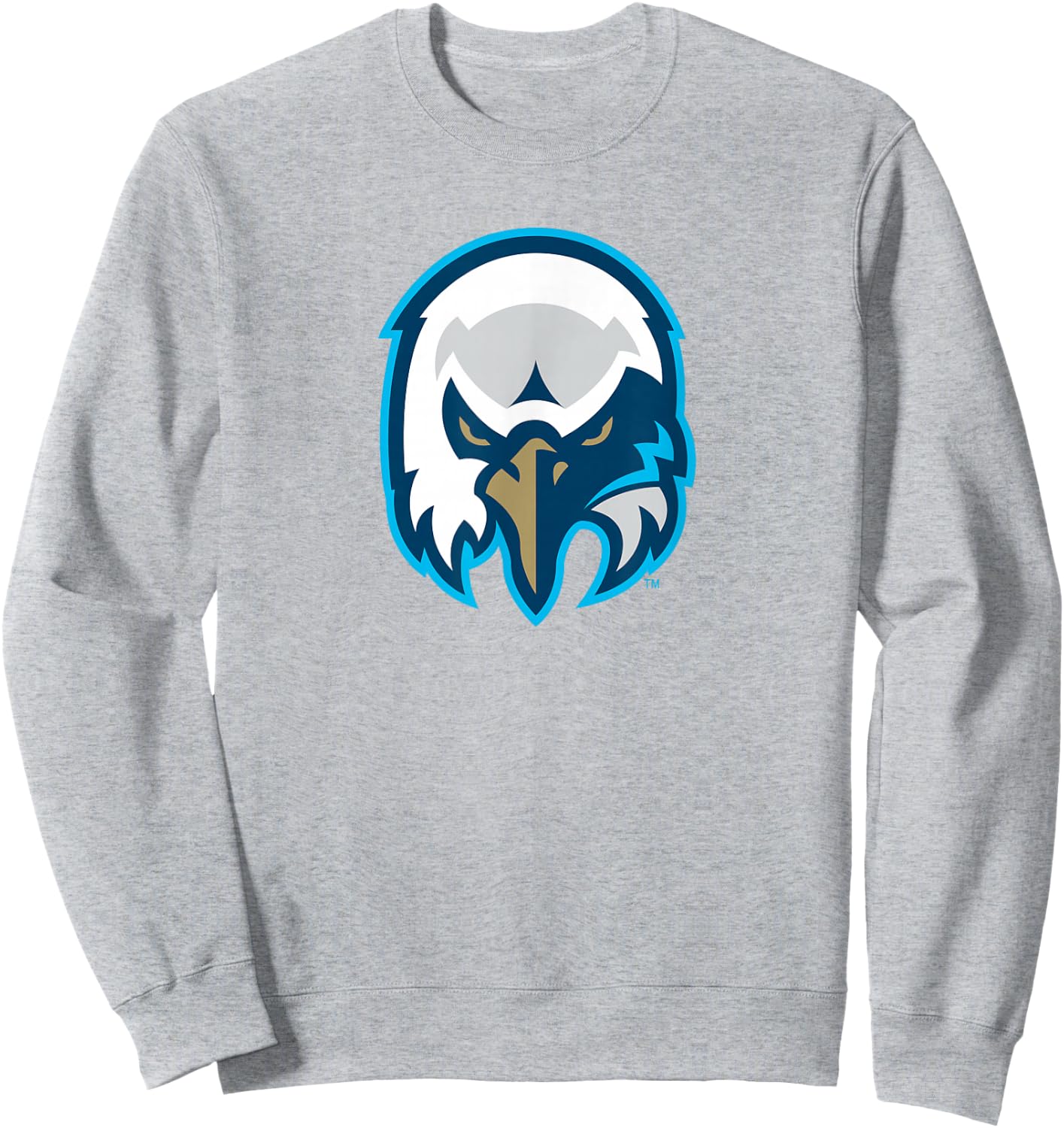 Wake Tech Eagles Wake Tech Community College Eagle Mark Sweatshirt - Sweatshirt | Ash