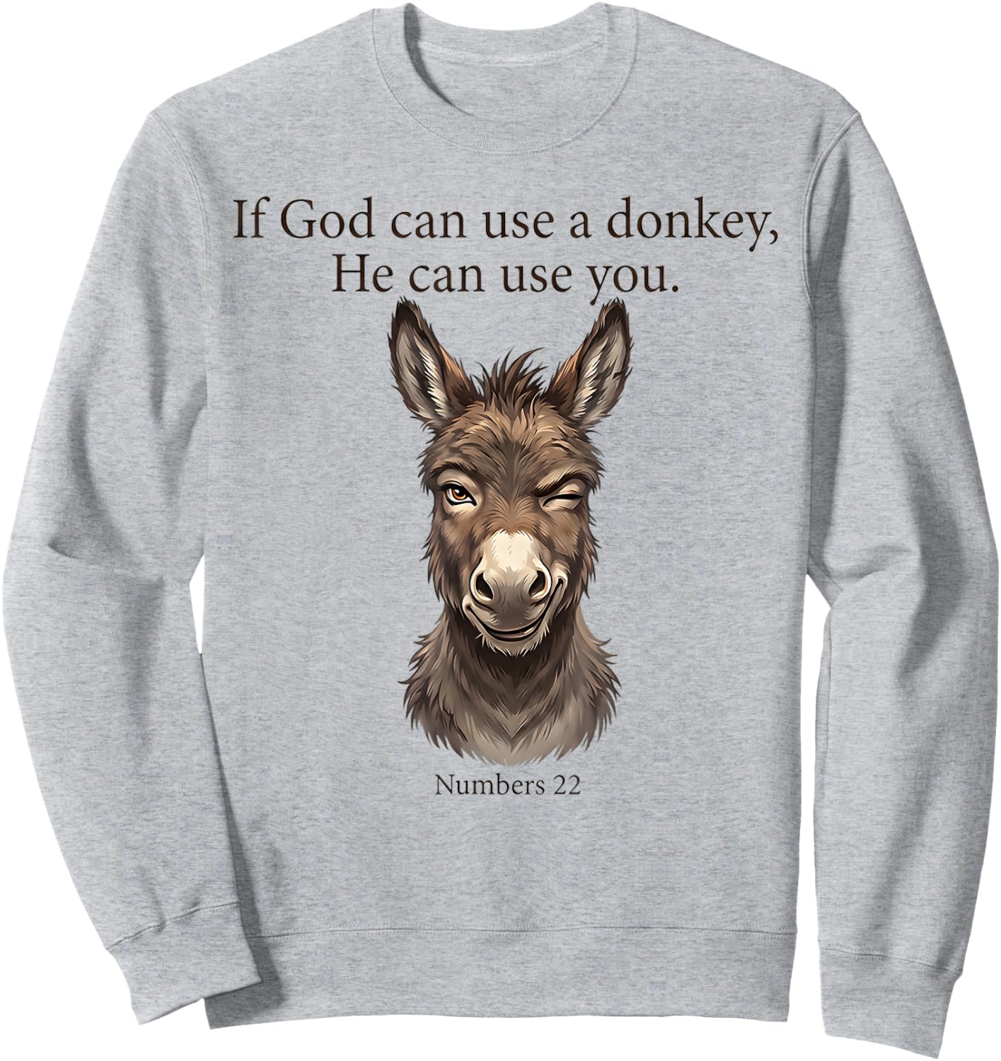 If God Can Use A Donkey He Can Use You Christian Bible Verse Sweatshirt - Sweatshirt | Ash