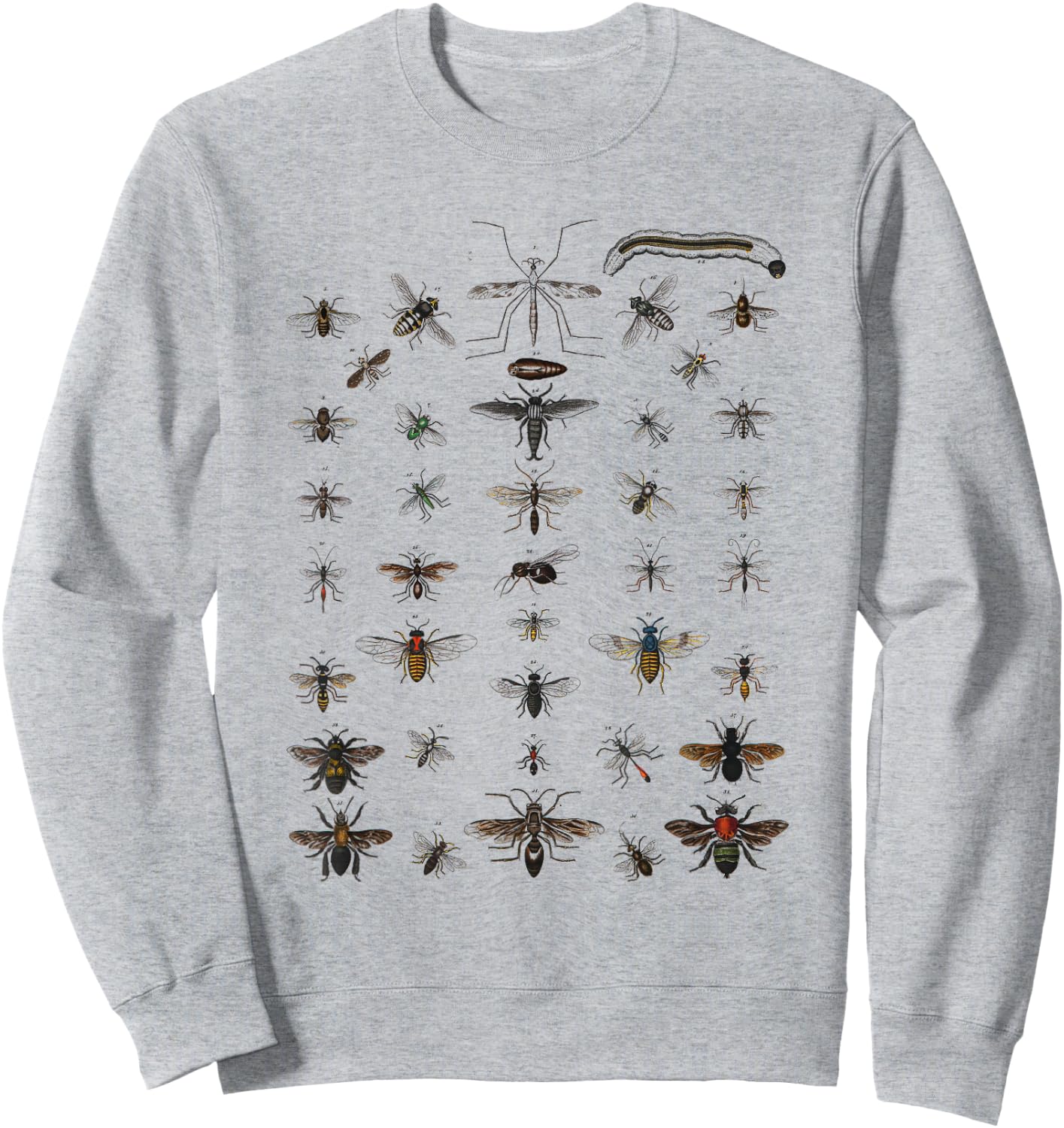 Insects Collection Species Bugs vintage Chart Entomology Sweatshirt - Sweatshirt | Ash