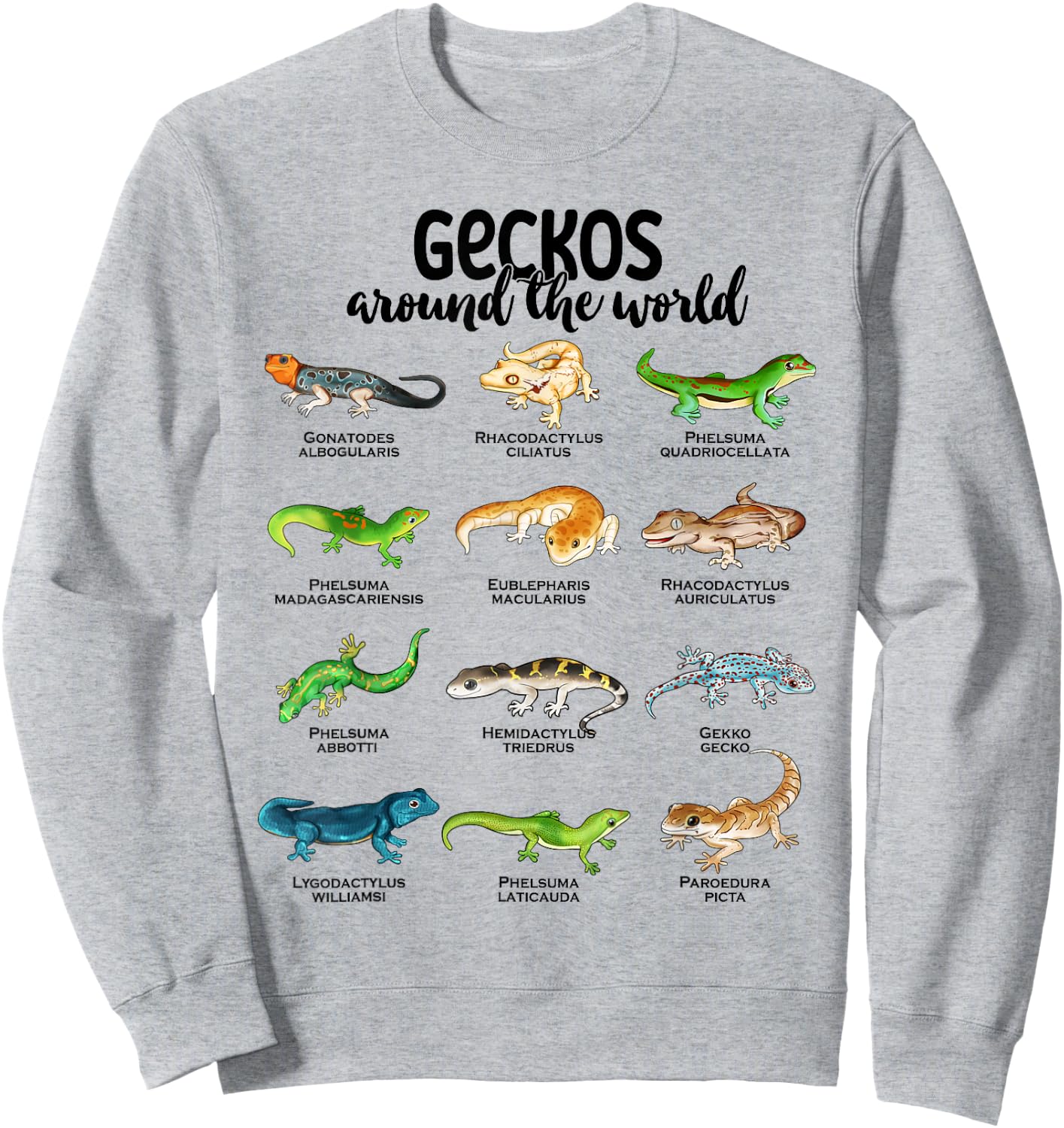 Many different geckos - geckos of the world Sweatshirt - Sweatshirt | Ash
