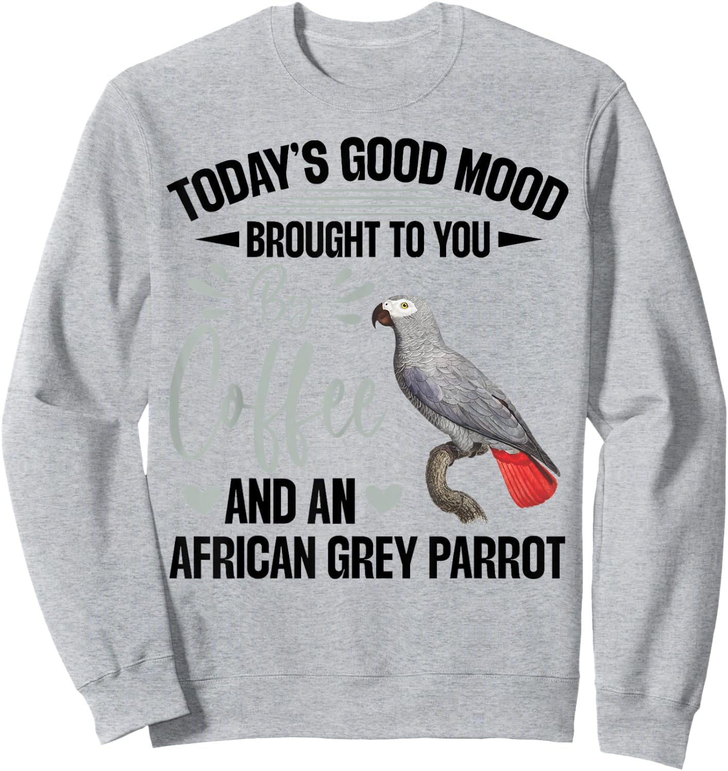 African Grey Parrot Toys African Grey Parrot Owner Parrot Sweatshirt - Sweatshirt | Ash