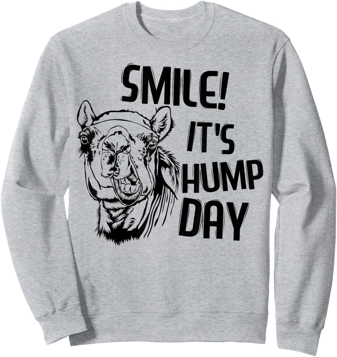 Funny Camel Smile! It's Hump Day Funny Hump Day Sweatshirt - Sweatshirt | Ash
