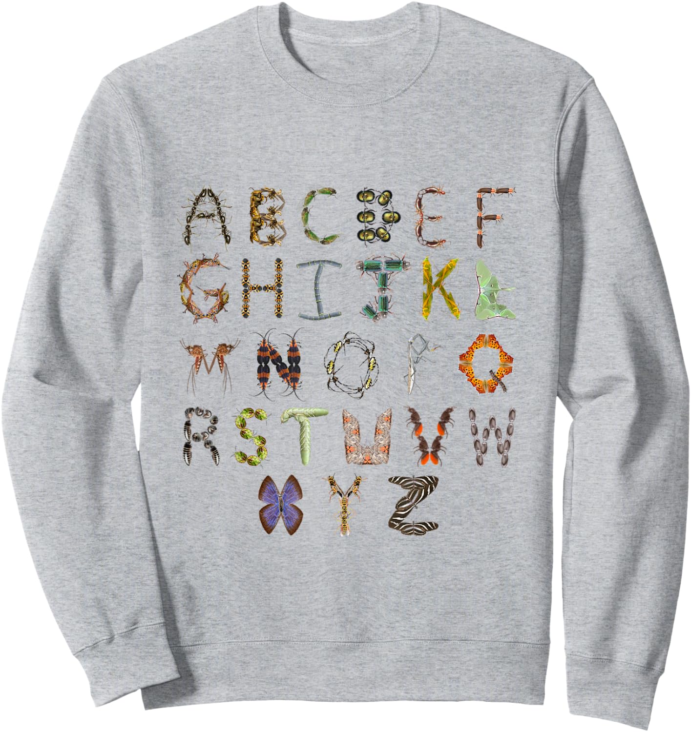 Insect and Bug Alphabet Insect Boys ABC Sweatshirt - Sweatshirt | Ash