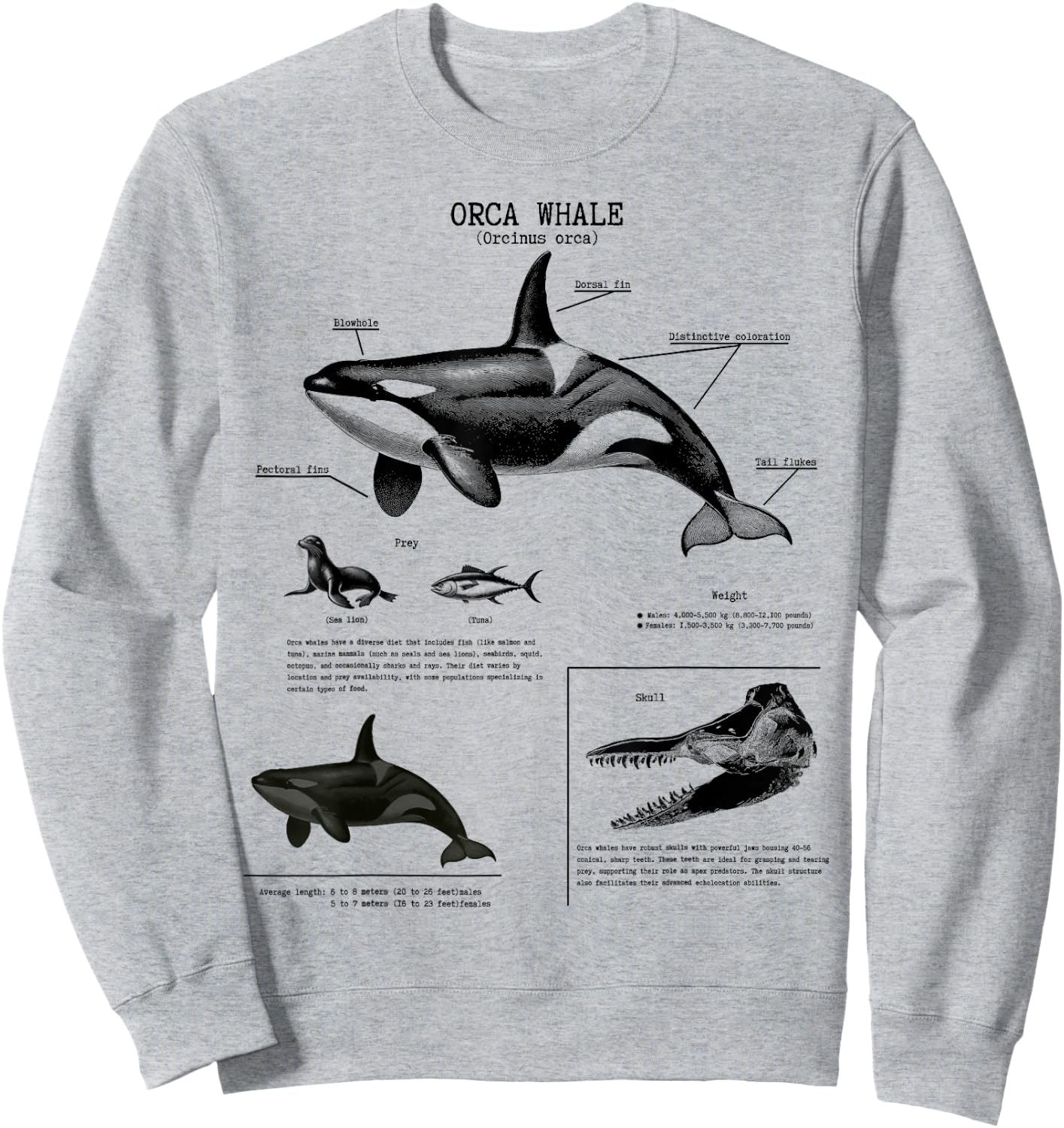 Orca Whale Anatomy Wall Lover Marine Biologist , White Sweatshirt - Sweatshirt | Ash