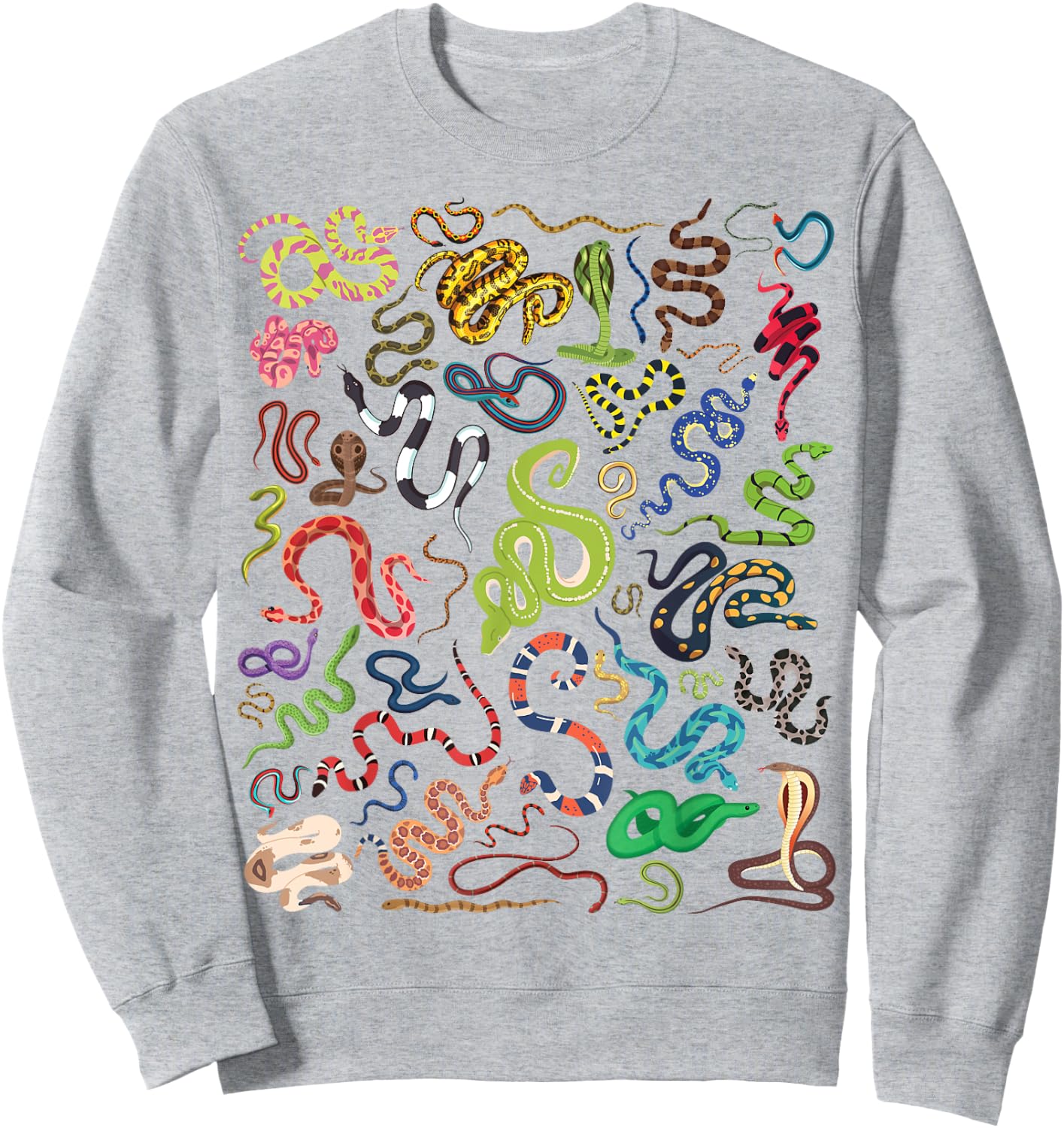 Types Of Snakes Educational Herpetologist Kids Boys Girls Sweatshirt - Sweatshirt | Ash