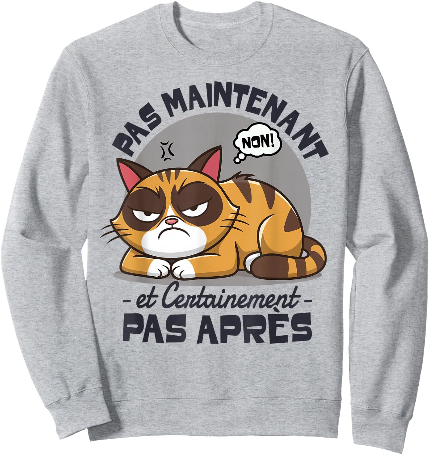 Cat Funny Laziness Fatigue Pas Now Cat , white, S Sweatshirt - Sweatshirt | Ash
