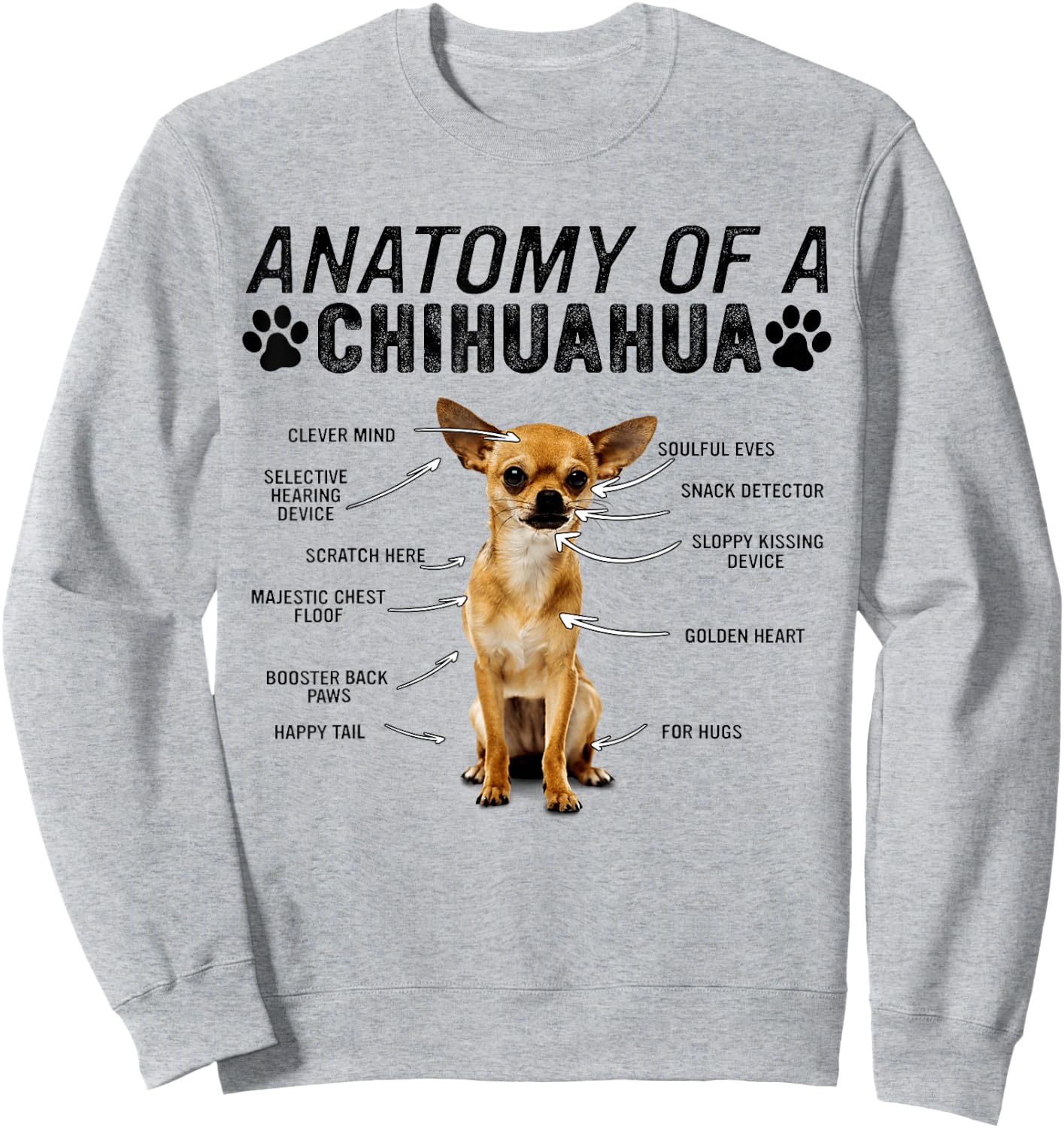 Anatomy of a Chihuahua Dog Funny Chihuahua Sweatshirt - Sweatshirt | Ash