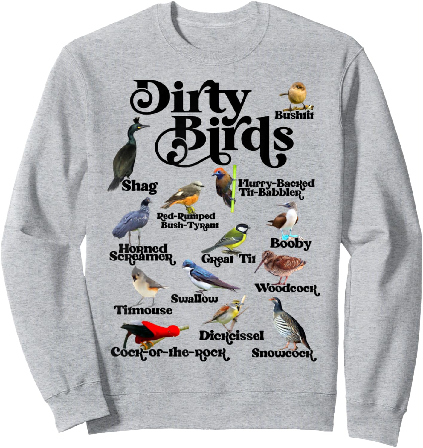 Funny Dirty Birds And Foul Language Birds For Bird Lover Sweatshirt - Sweatshirt | Ash
