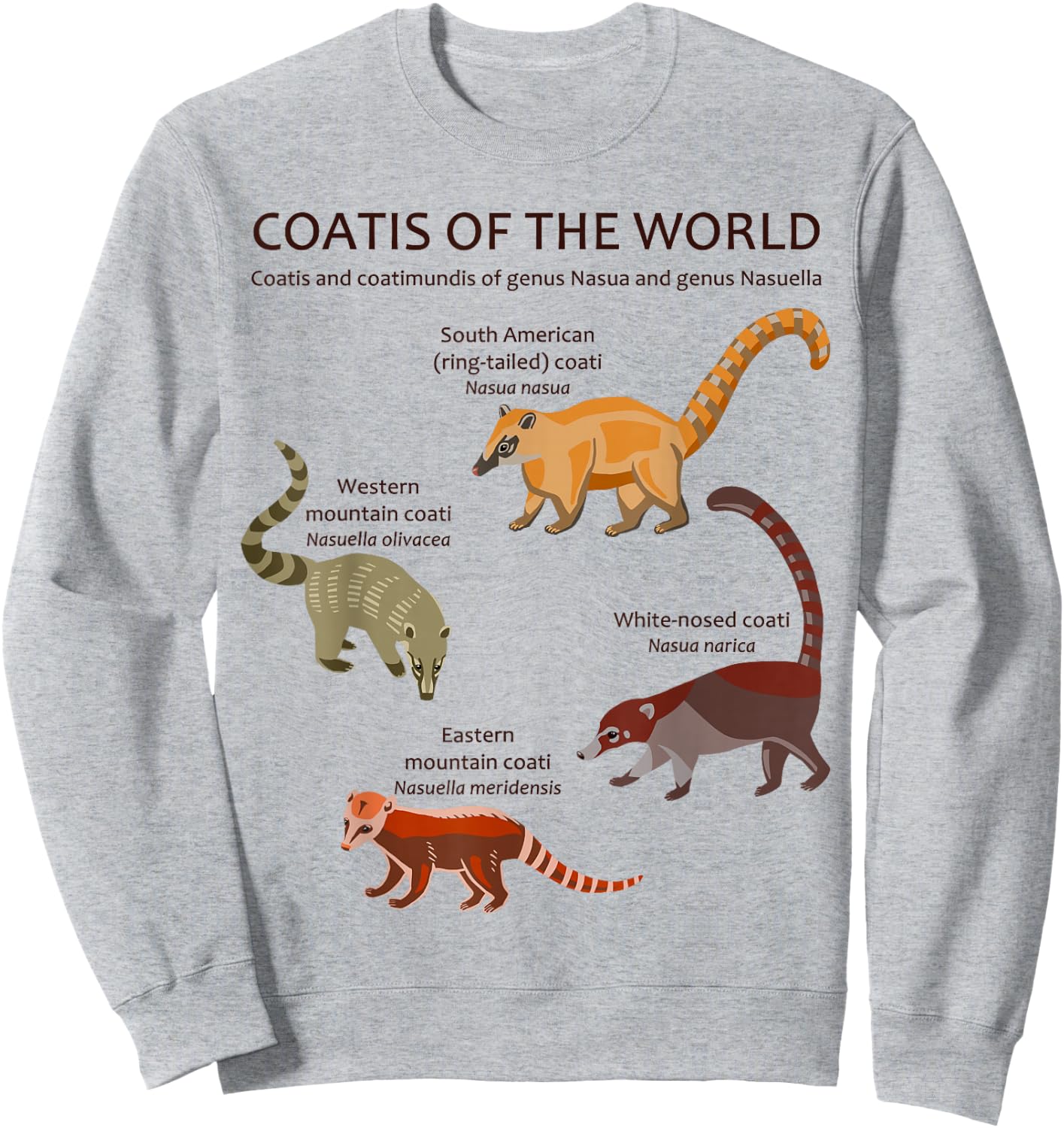 Coati and Coatimundi Species Animal Artwork Sweatshirt - Sweatshirt | Ash