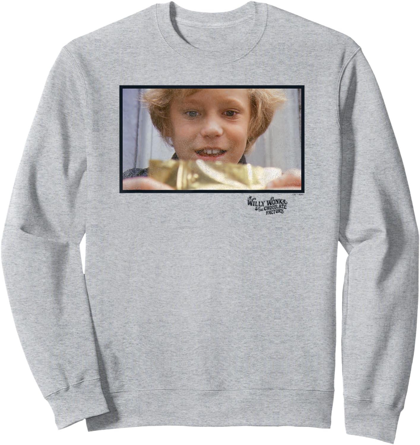 Willy Wonka And The Chocolate Factory Charlie Golden Ticket Sweatshirt - Sweatshirt | Ash