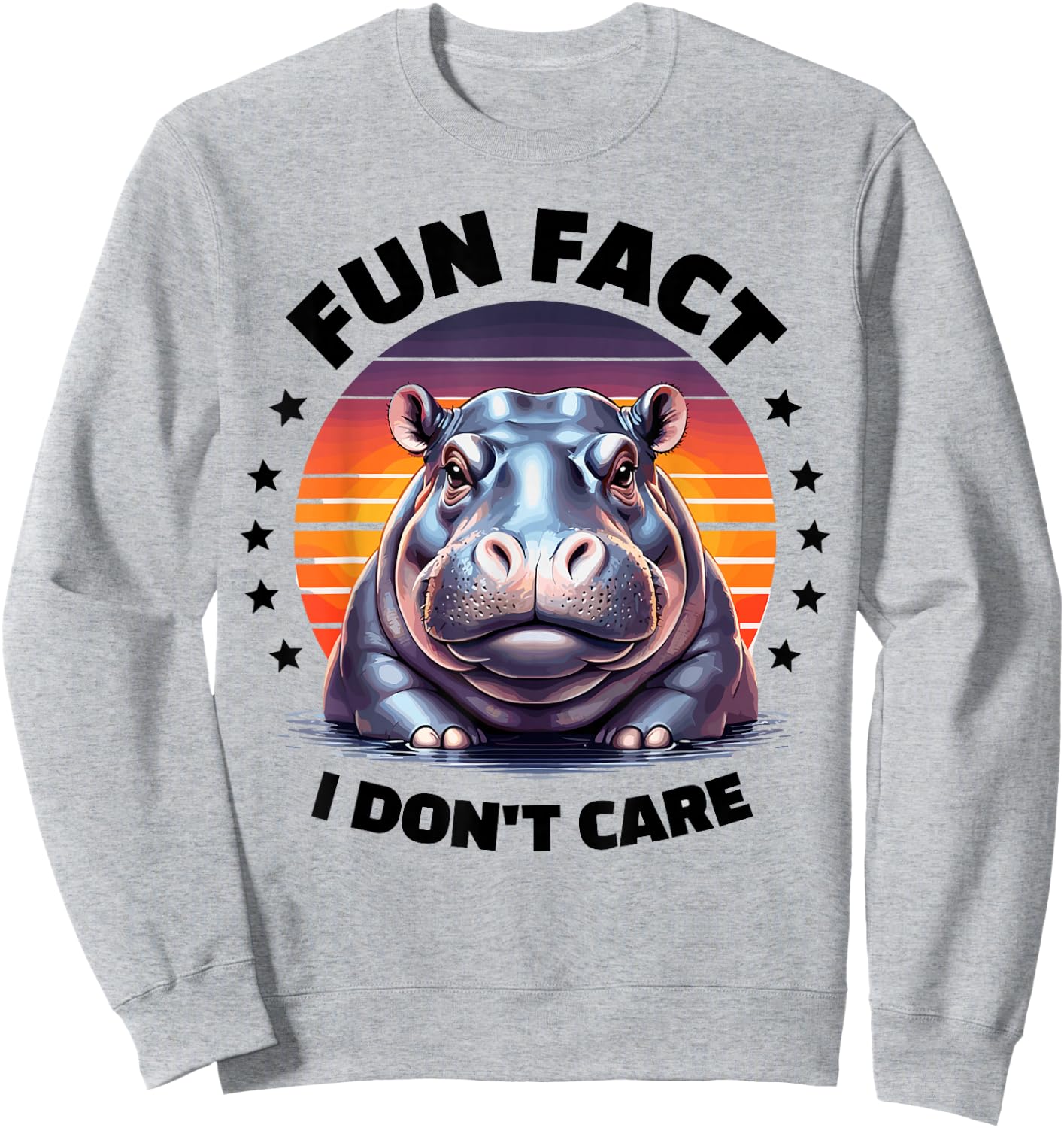 Fun Fact I Don't Care Hippo Stuff | Hippopotamus Funny Hippo Sweatshirt - Sweatshirt | Ash