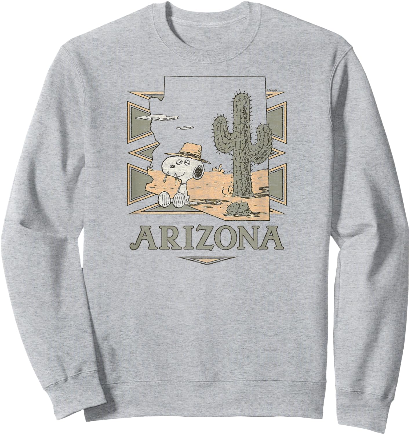 Peanuts - Spike Arizona Desert Cactus Sweatshirt - Sweatshirt | Ash