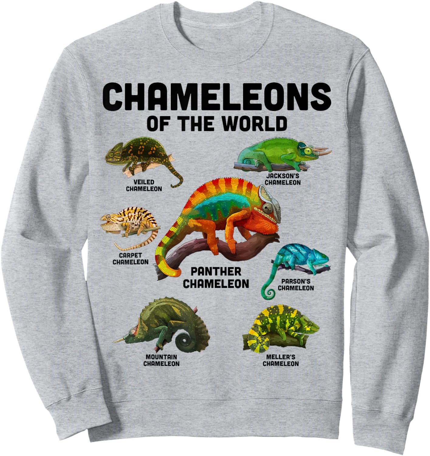Chameleon Shirt Chameleons of the World Educational Reptile Sweatshirt - Sweatshirt | Ash