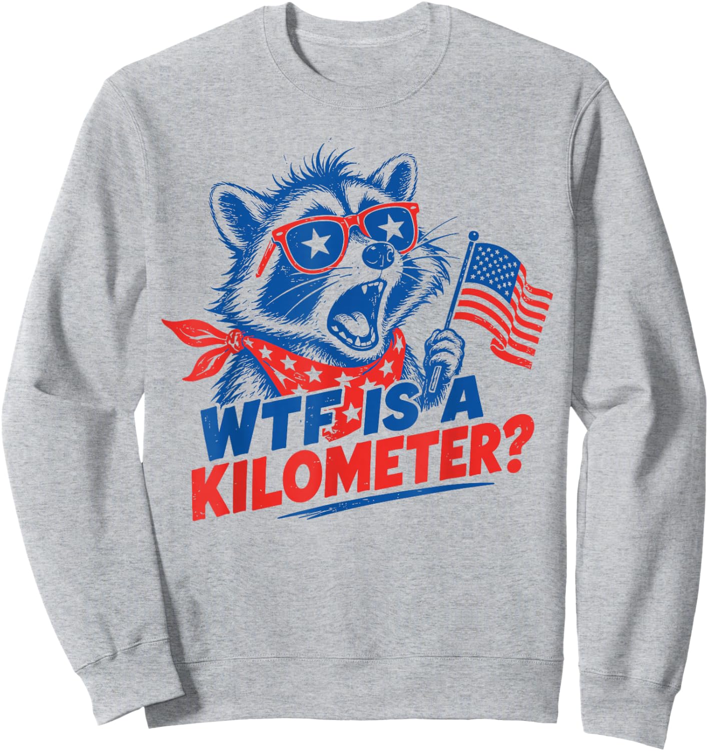 WTF is A Kilometer Patriotic Raccoon Independence 4th July Sweatshirt - Sweatshirt | Ash