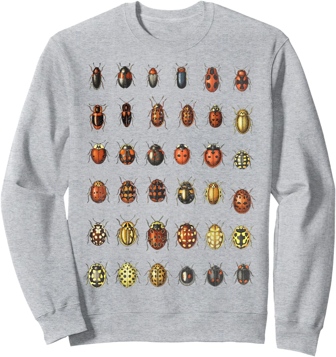 Insects Ladybugs Species Bug Vintage Entomology Entomologist Sweatshirt - Sweatshirt | Ash