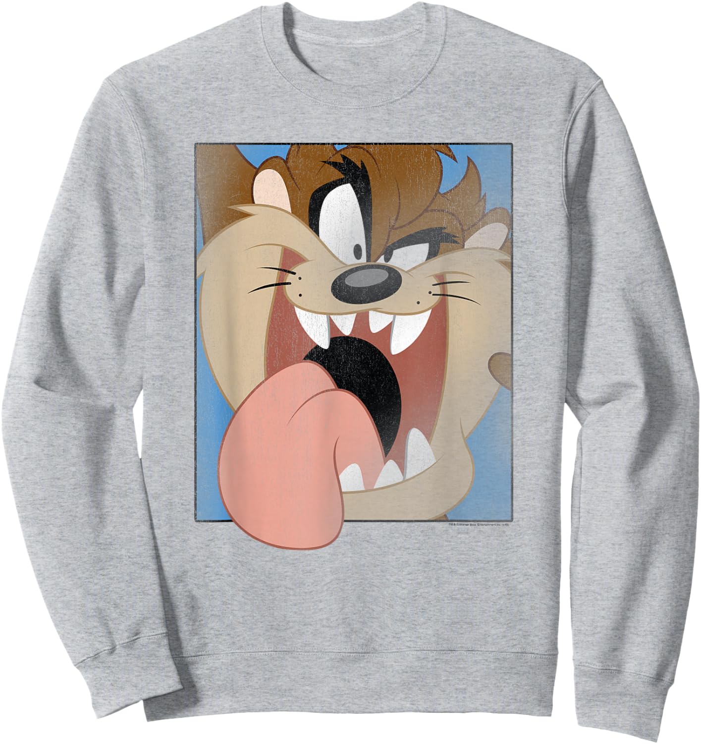Looney Tunes Taz Closeup Sweatshirt - Sweatshirt | Ash