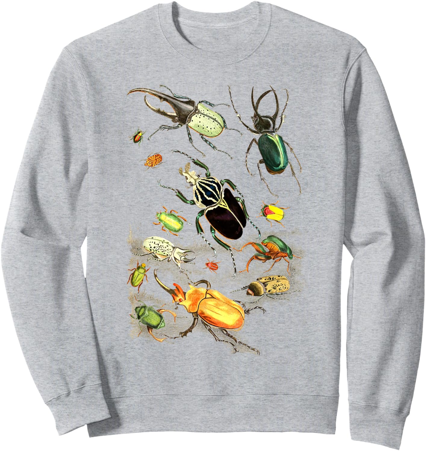 Insects Collection Species Bugs vintage Chart Entomology Sweatshirt - Sweatshirt | Ash