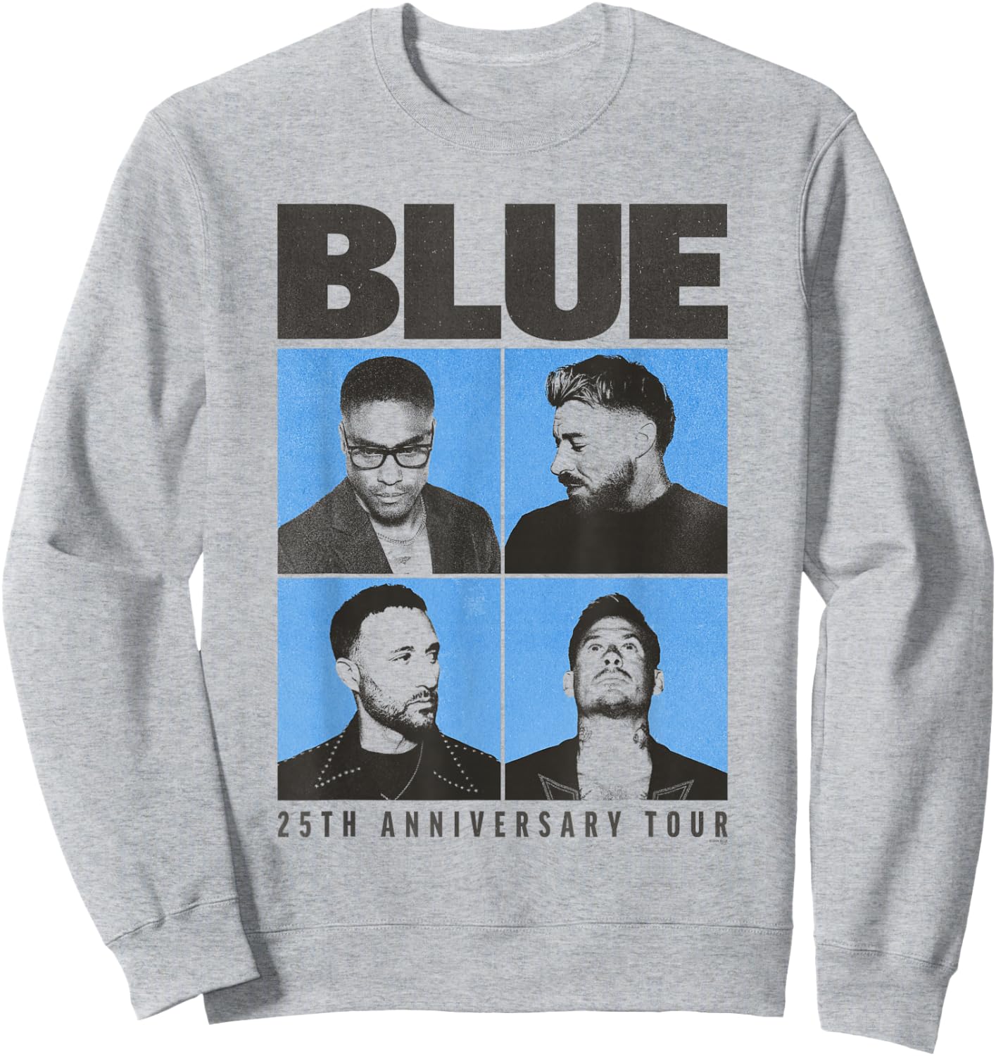Blue Photo Window 25th Anniverssary Sweatshirt - Sweatshirt | Ash