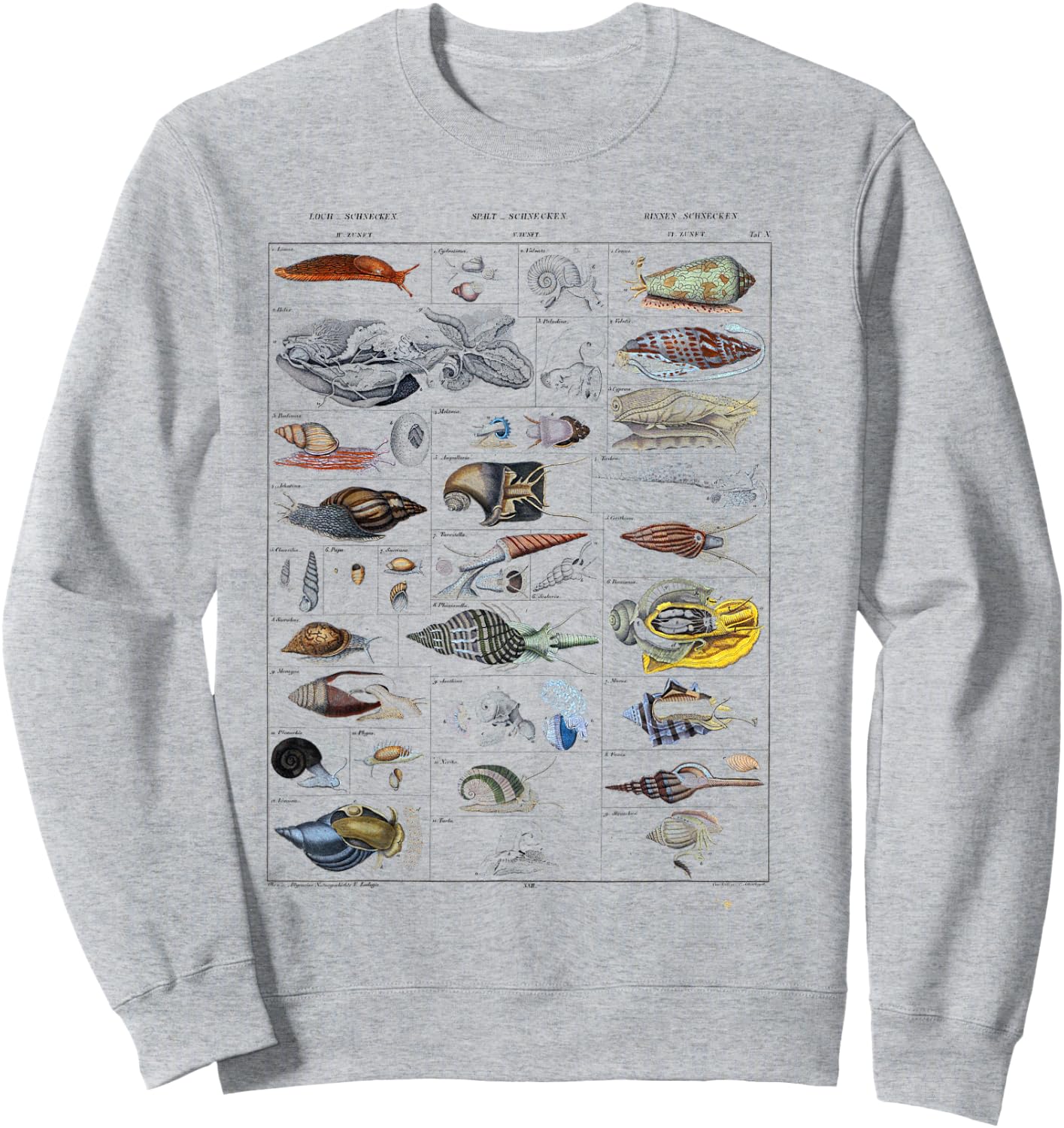 Oceanography Ocean Zoology biologists sailing Mollusk Sweatshirt - Sweatshirt | Ash
