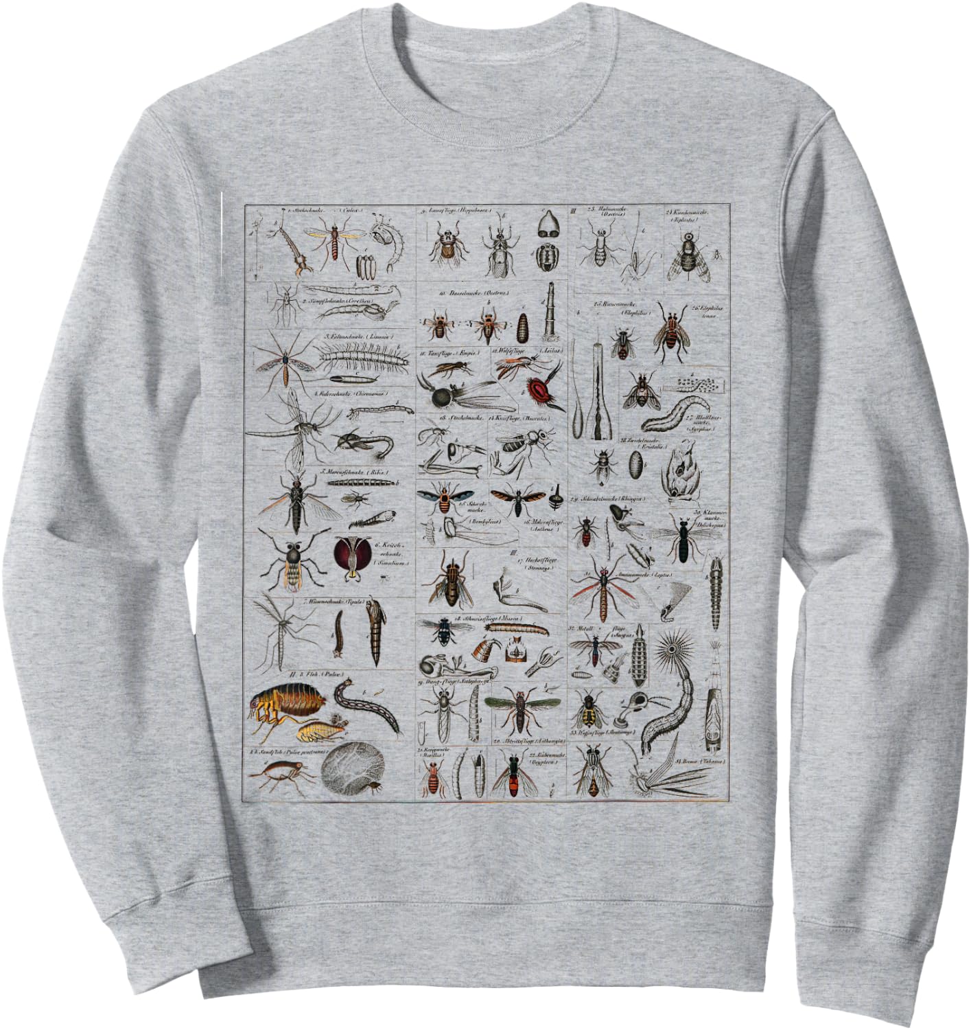 Insects Collection Species Bugs vintage Chart Entomology Sweatshirt - Sweatshirt | Ash