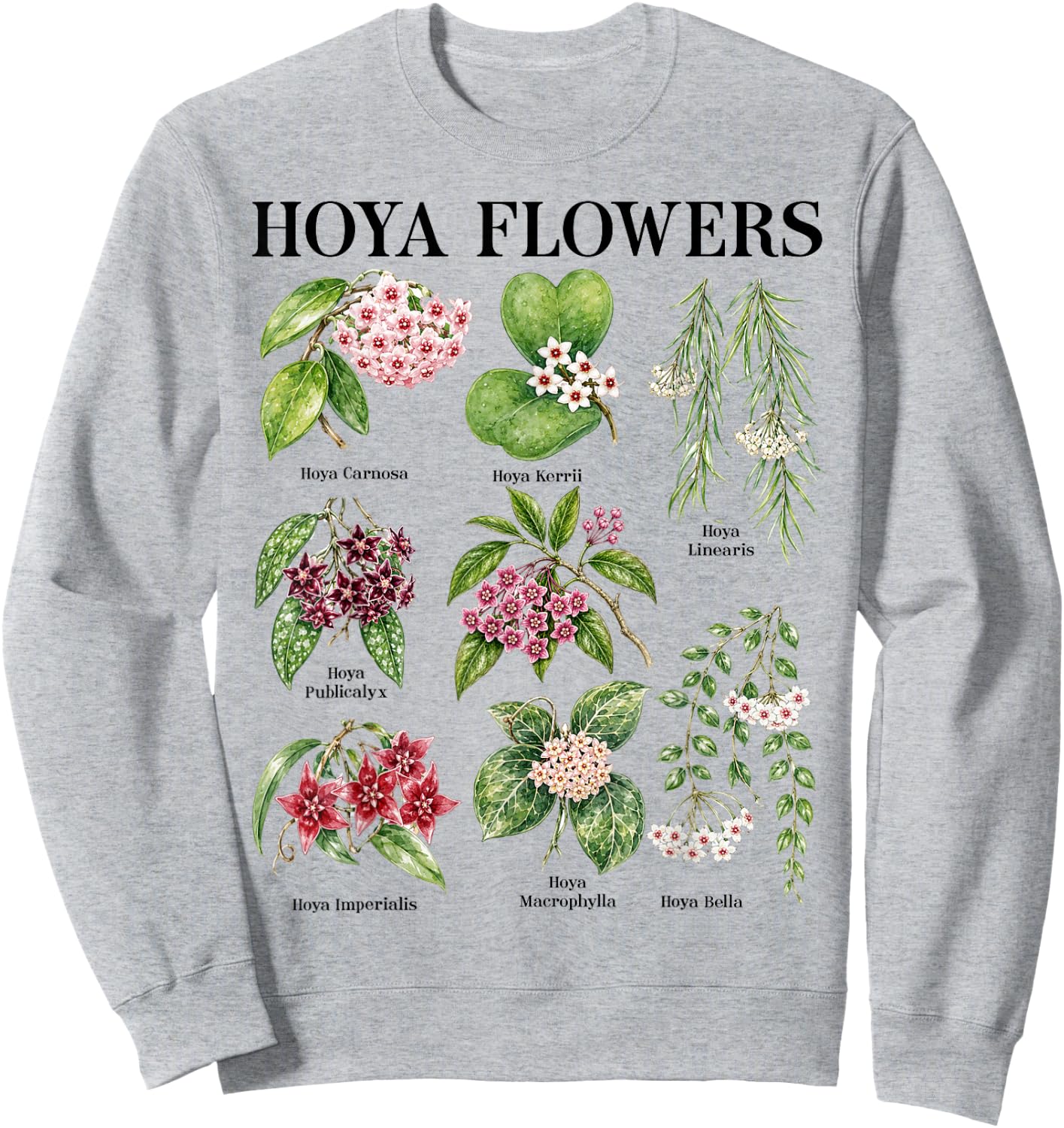 Hoya Flowers Gardener Gardening Plant Lover Botanical Indoor Sweatshirt - Sweatshirt | Ash