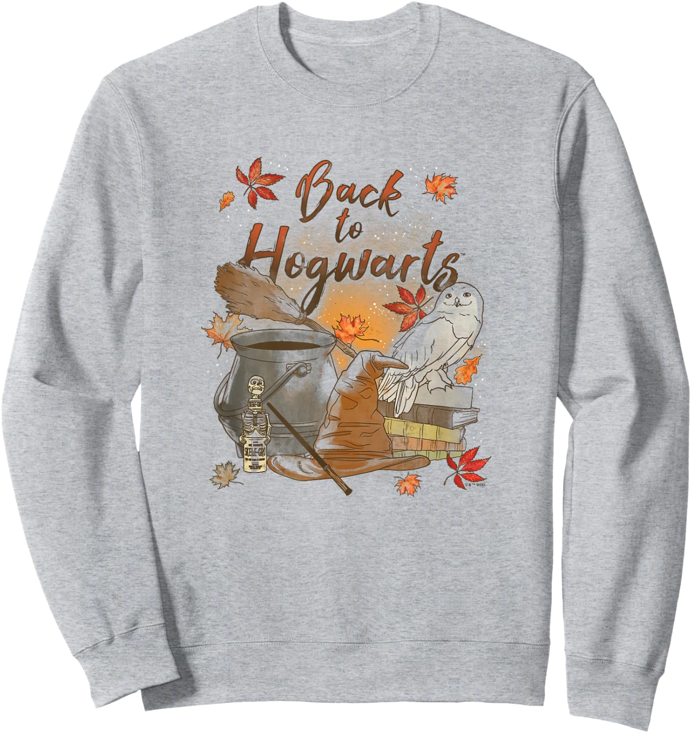Harry Potter Back to Hogwarts Autumn Themed Hedwig Poster Sweatshirt - Sweatshirt | Ash