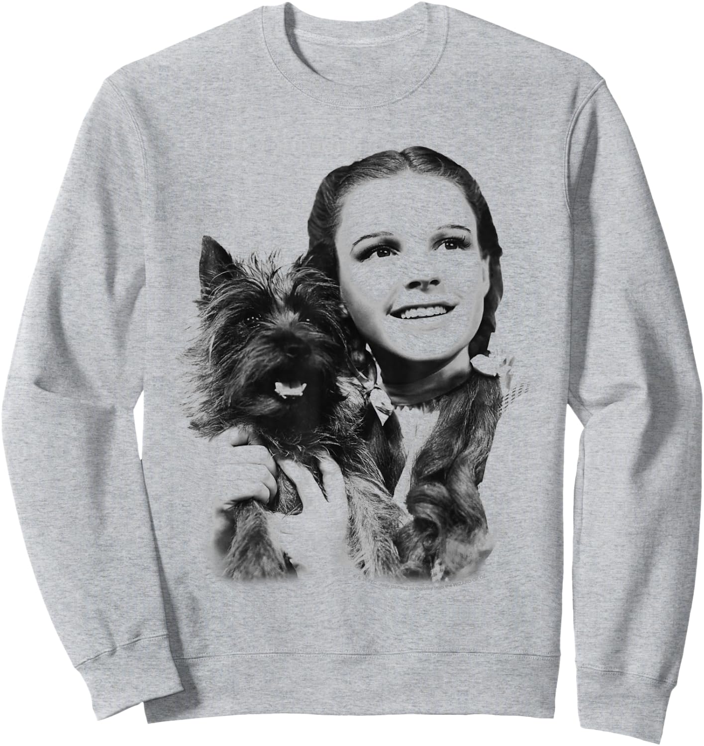 The Wizard of Oz Dorothy and Toto Sweatshirt - Sweatshirt | Ash