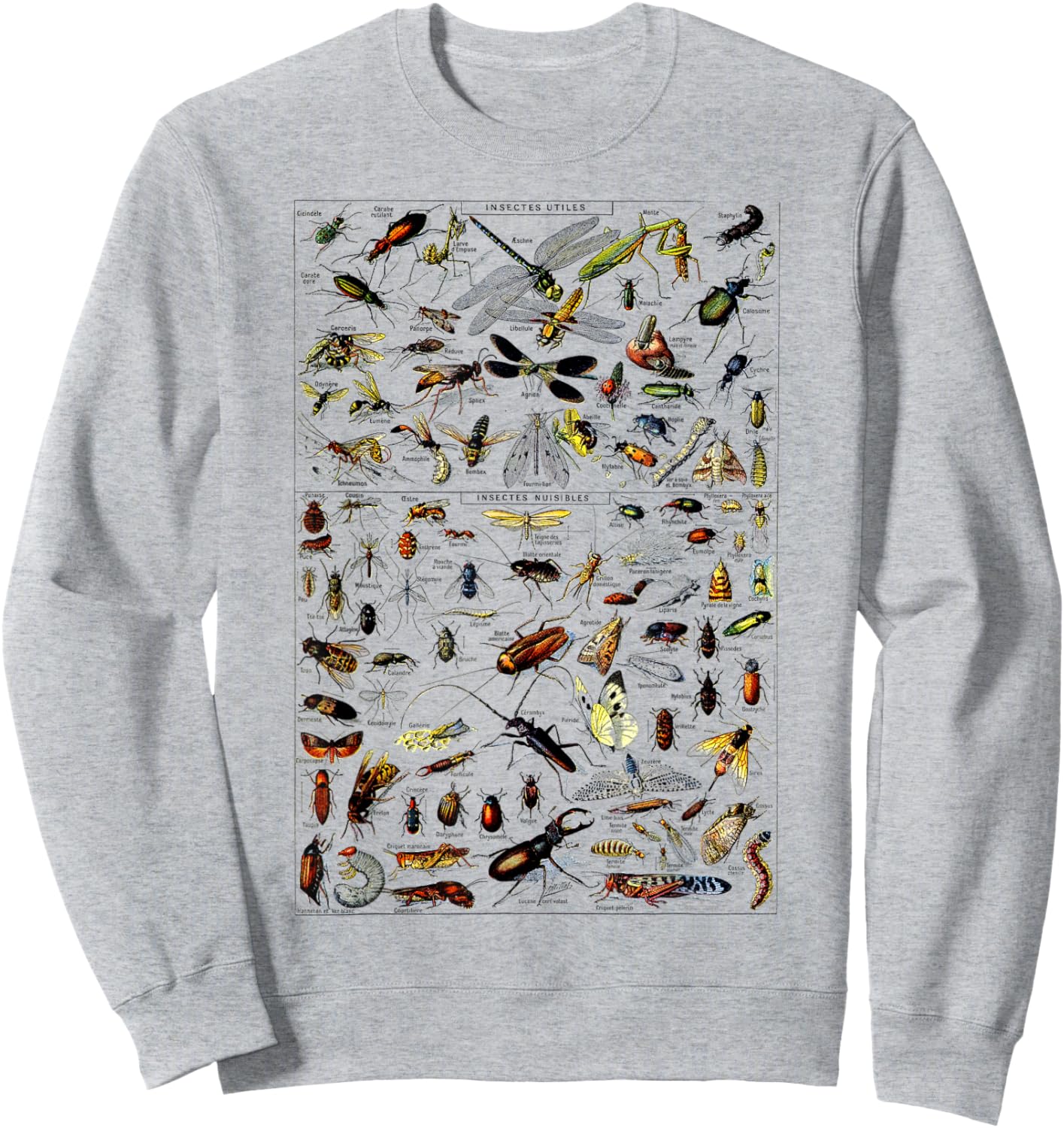 Insects Collection Species Bugs Vintage Chart Entomologie Sweatshirt - Sweatshirt | Ash