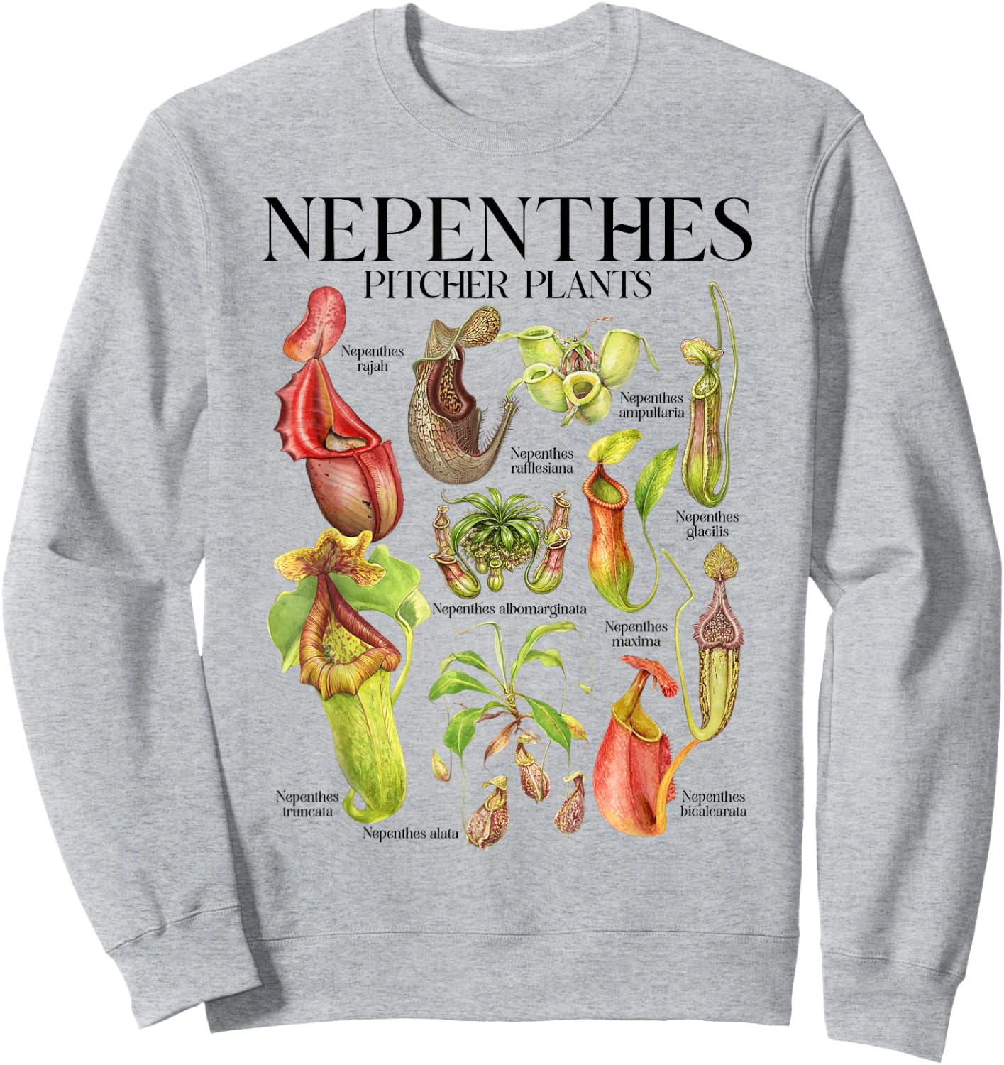 Carnivorous Plant Lover Botanical Nepenthes Pitcher Plants Sweatshirt - Sweatshirt | Ash