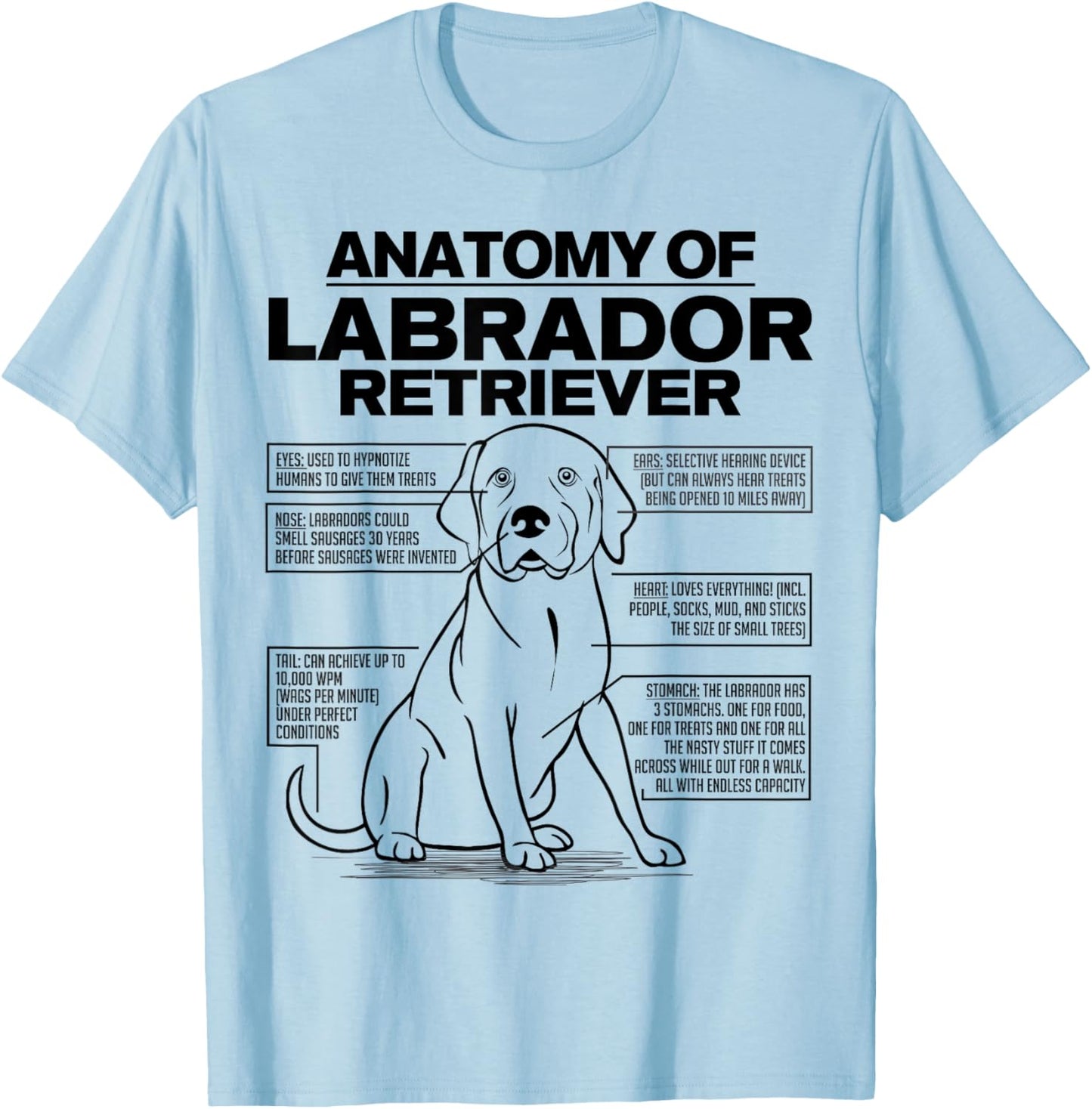 Anatomy of a Labrador Retriever Funny Dog owner gifts shirt T-Shirt - T-Shirt | Light Blue