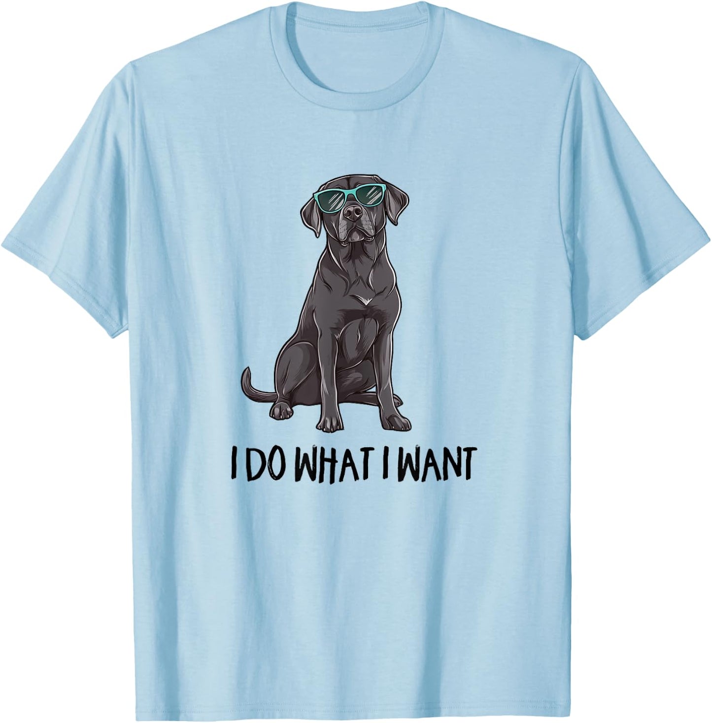 & Kids Funny Do What I Want Black Lab Lover T-Shirt - T-Shirt | Light Blue