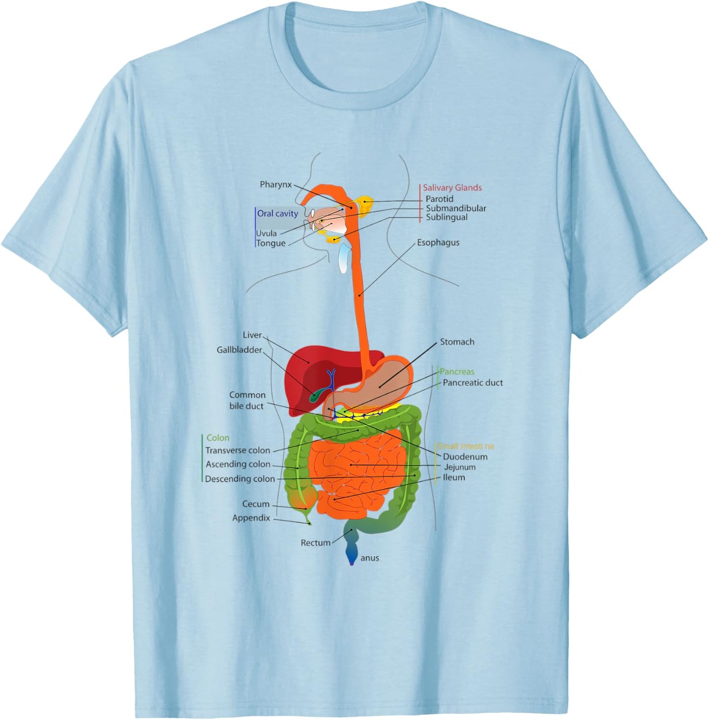 Human Body Digestive System Gastrointestinal Tract Anatomy T-Shirt - T-Shirt | Light Blue
