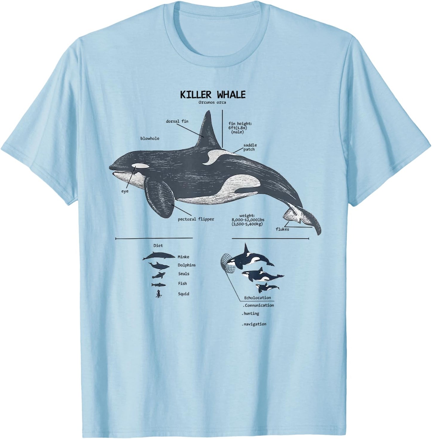 Killer Whale Anatomy Marine Biologist T-Shirt - T-Shirt | Light Blue