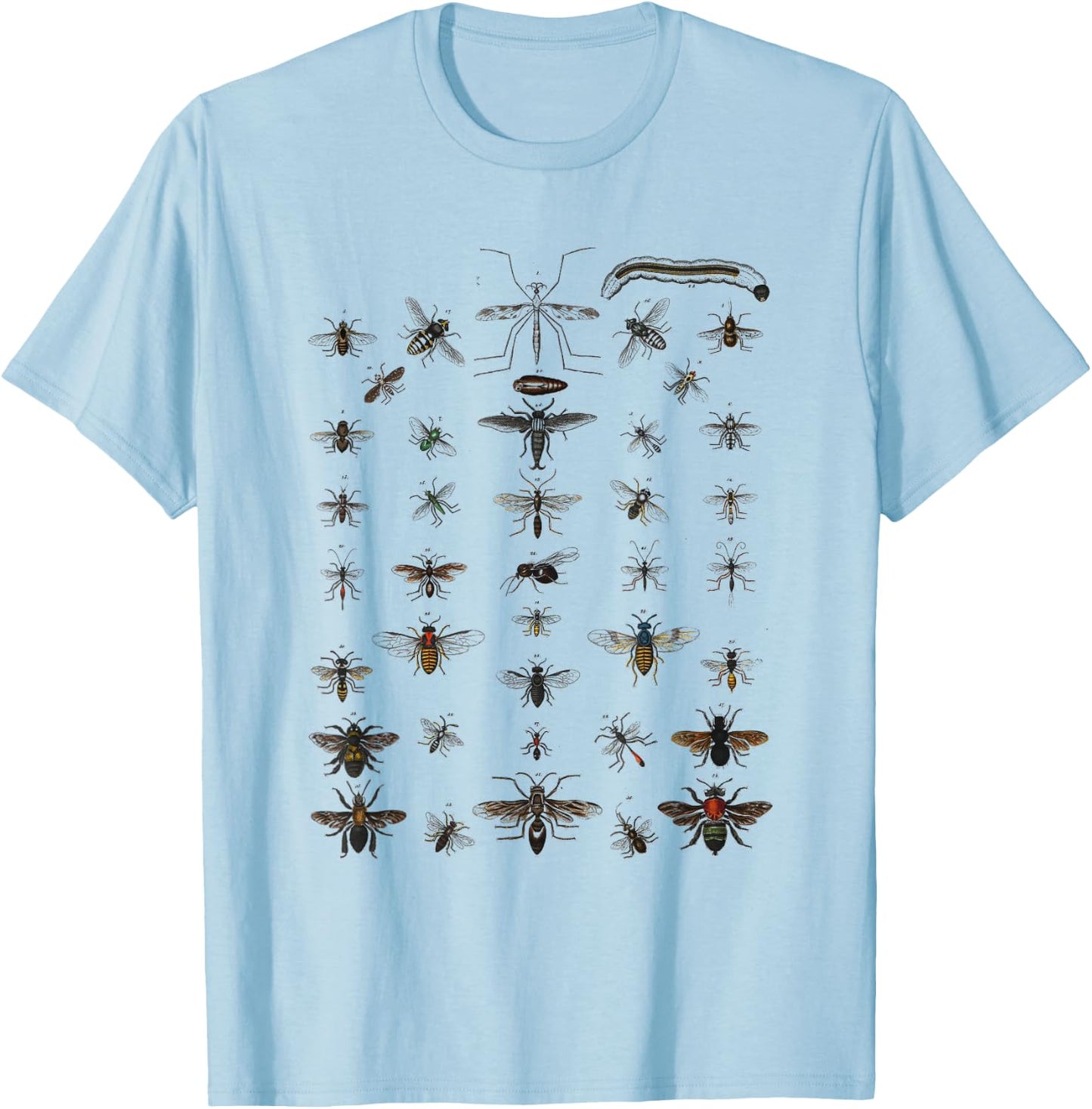 Insects Collection Species Bugs vintage Chart Entomology T-Shirt - T-Shirt | Light Blue