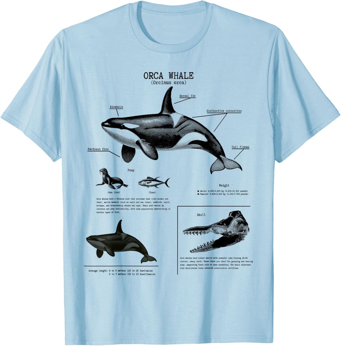 Orca Whale Anatomy Wall Lover Marine Biologist , White T-Shirt - T-Shirt | Light Blue