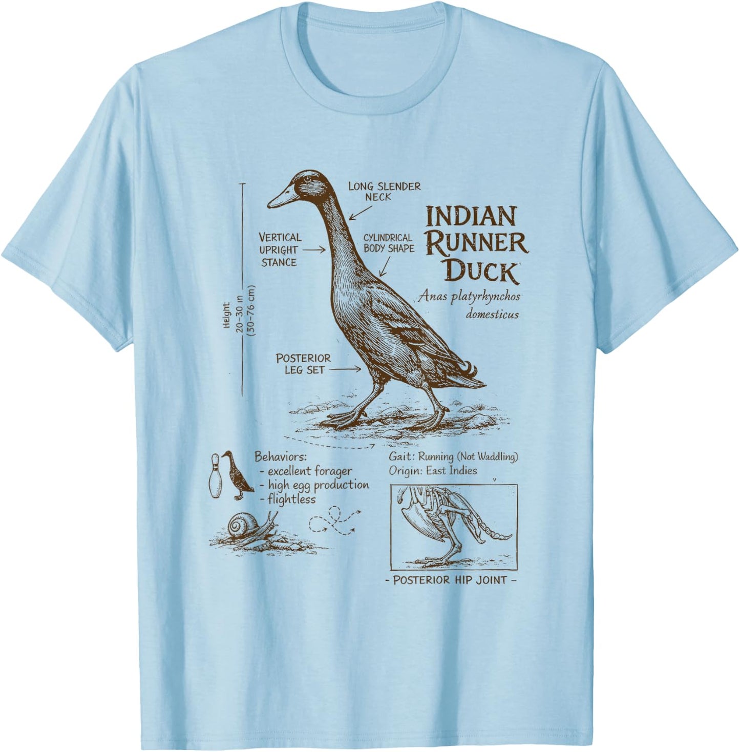 Indian Runner Duck Lover Detailed Anatomy Wildlife Animal T-Shirt - T-Shirt | Light Blue