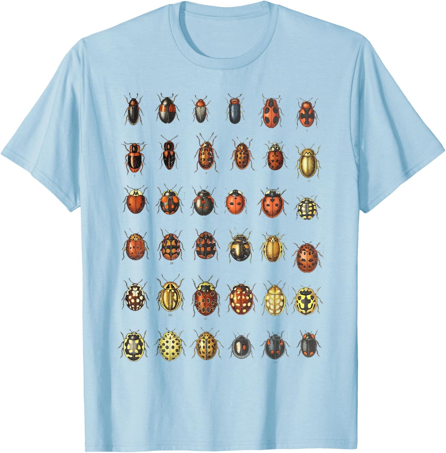 Insects Ladybugs Species Bug Vintage Entomology Entomologist T-Shirt - T-Shirt | Light Blue