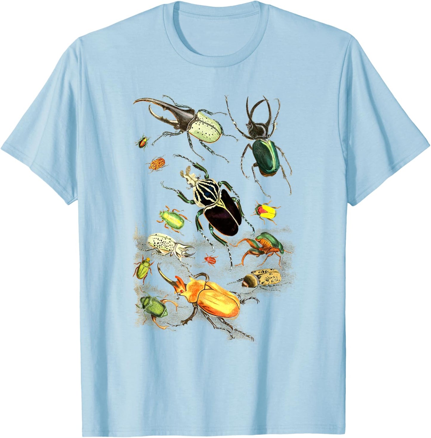 Insects Collection Species Bugs vintage Chart Entomology T-Shirt - T-Shirt | Light Blue
