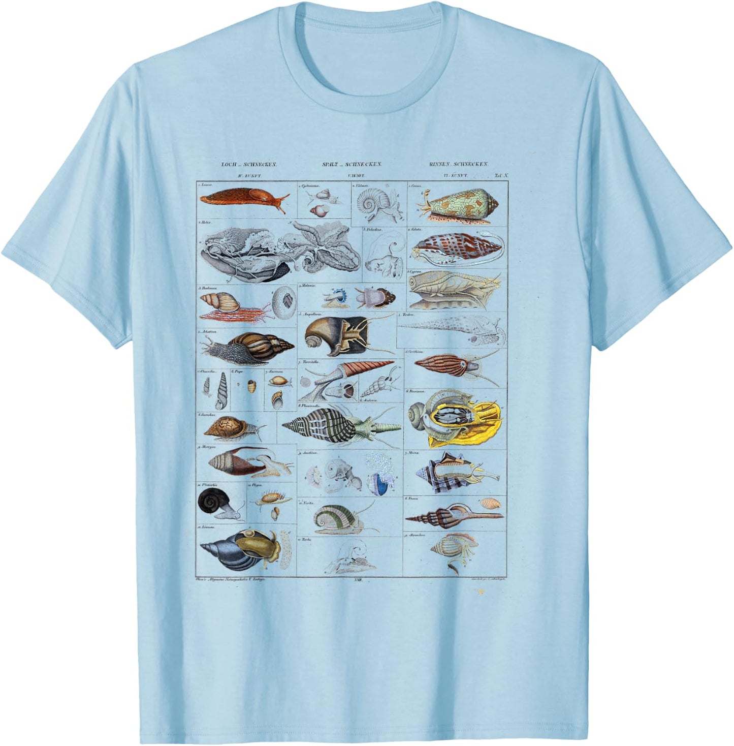 Oceanography Ocean Zoology biologists sailing Mollusk T-Shirt - T-Shirt | Light Blue