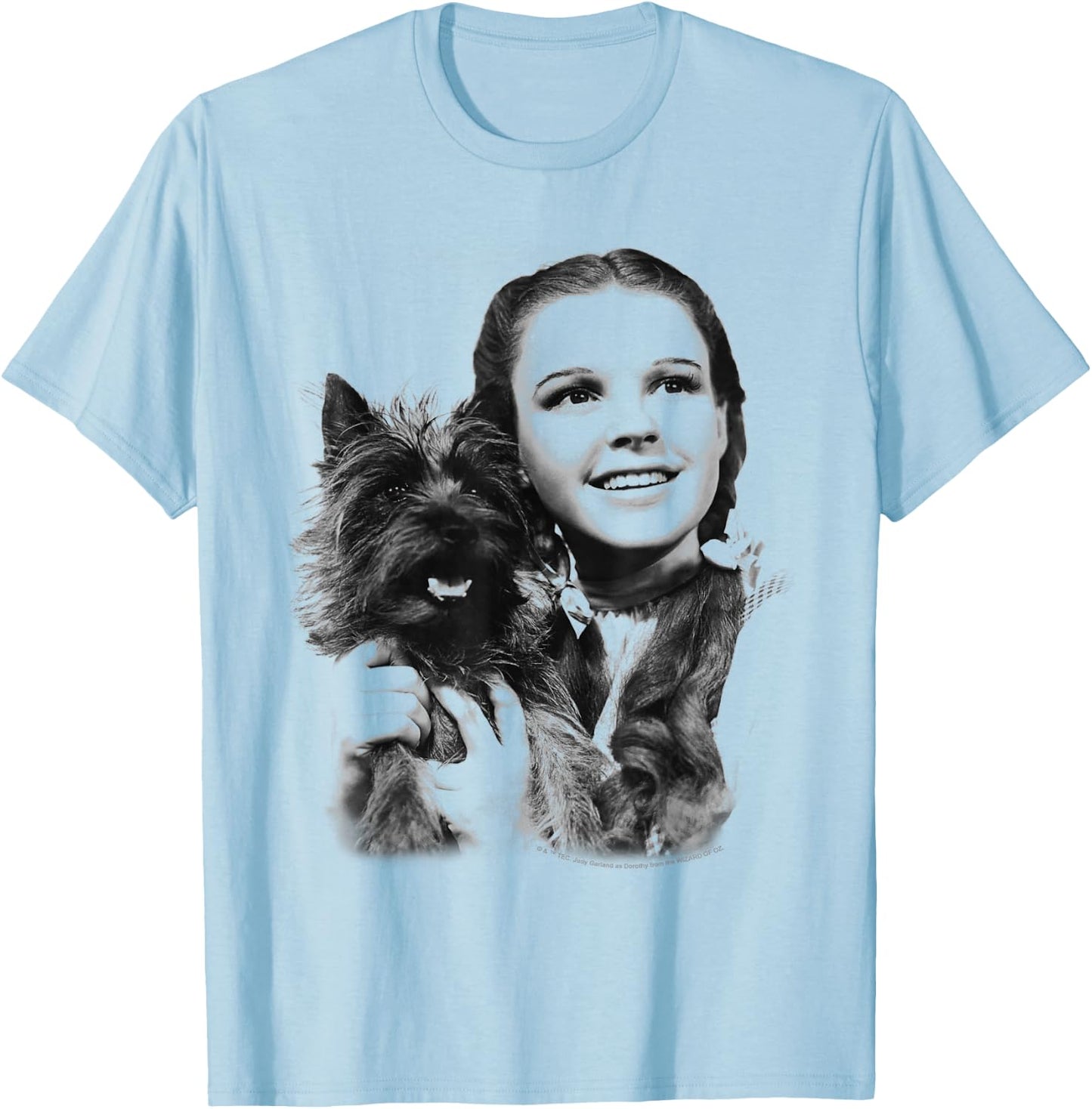 The Wizard of Oz Dorothy and Toto T-Shirt - T-Shirt | Light Blue