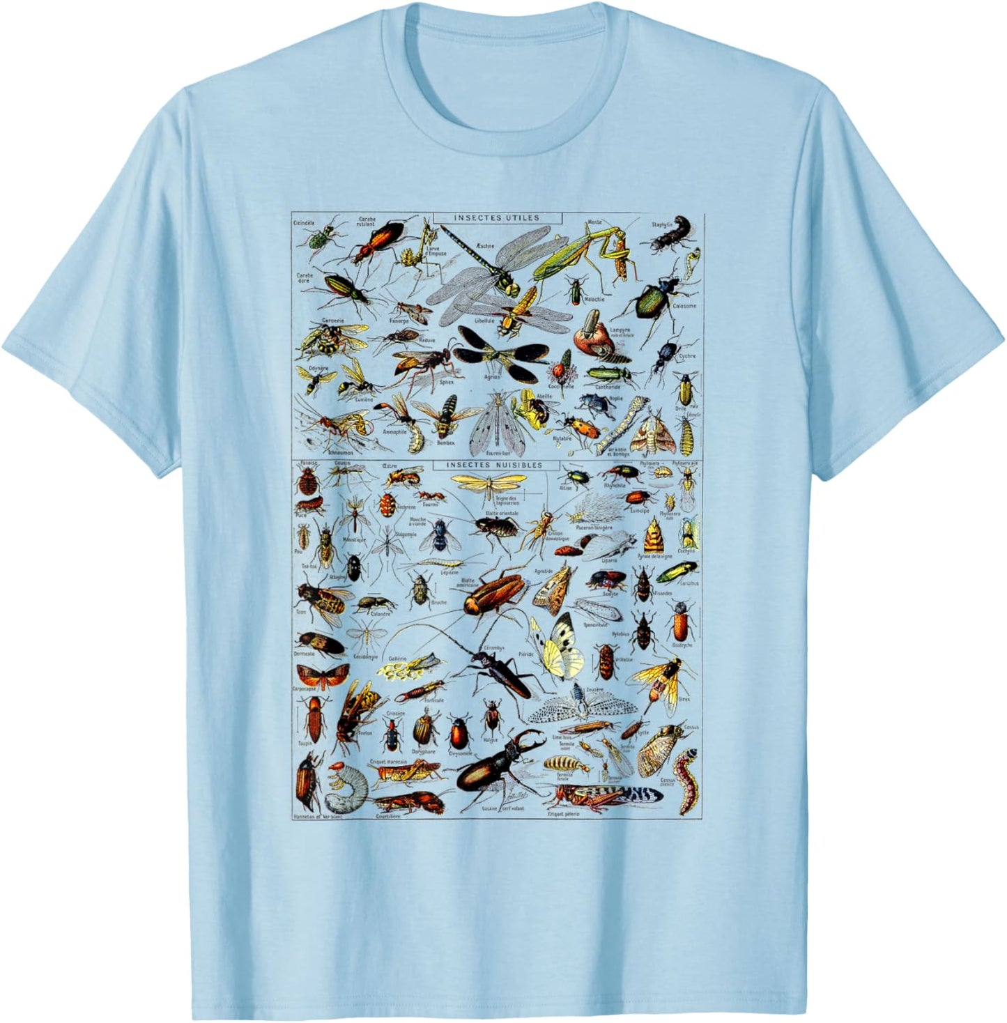 Insects Collection Species Bugs Vintage Chart Entomologie T-Shirt - T-Shirt | Light Blue