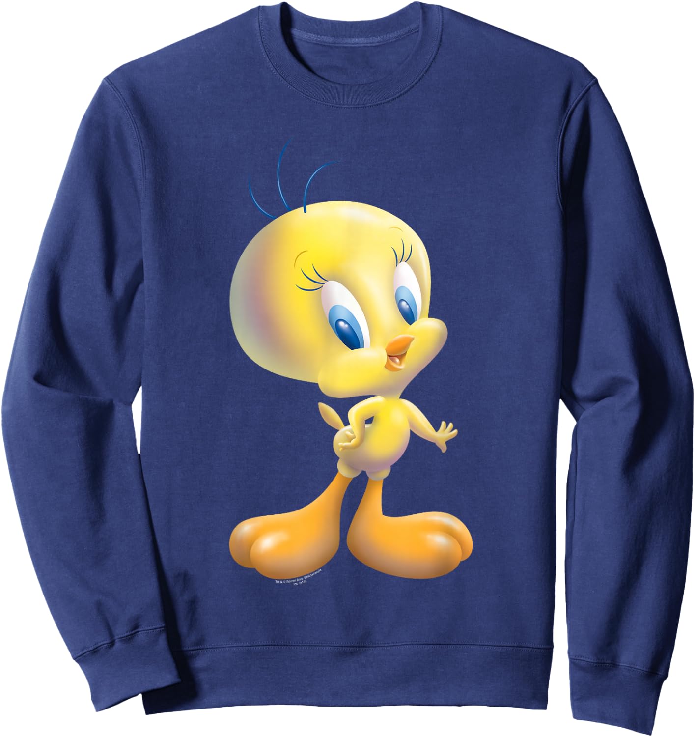 Looney Tunes Tweety Bird Airbrushed Sweatshirt - Sweatshirt | Navy