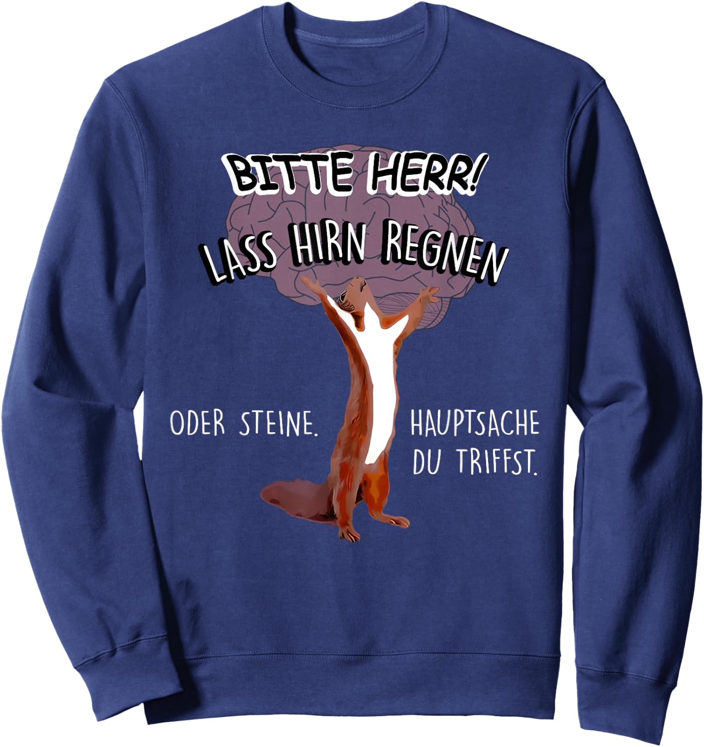 Bitte Herr Lass Hirn Regnen Oder Steine Hauptsache Sweatshirt - Sweatshirt | Navy