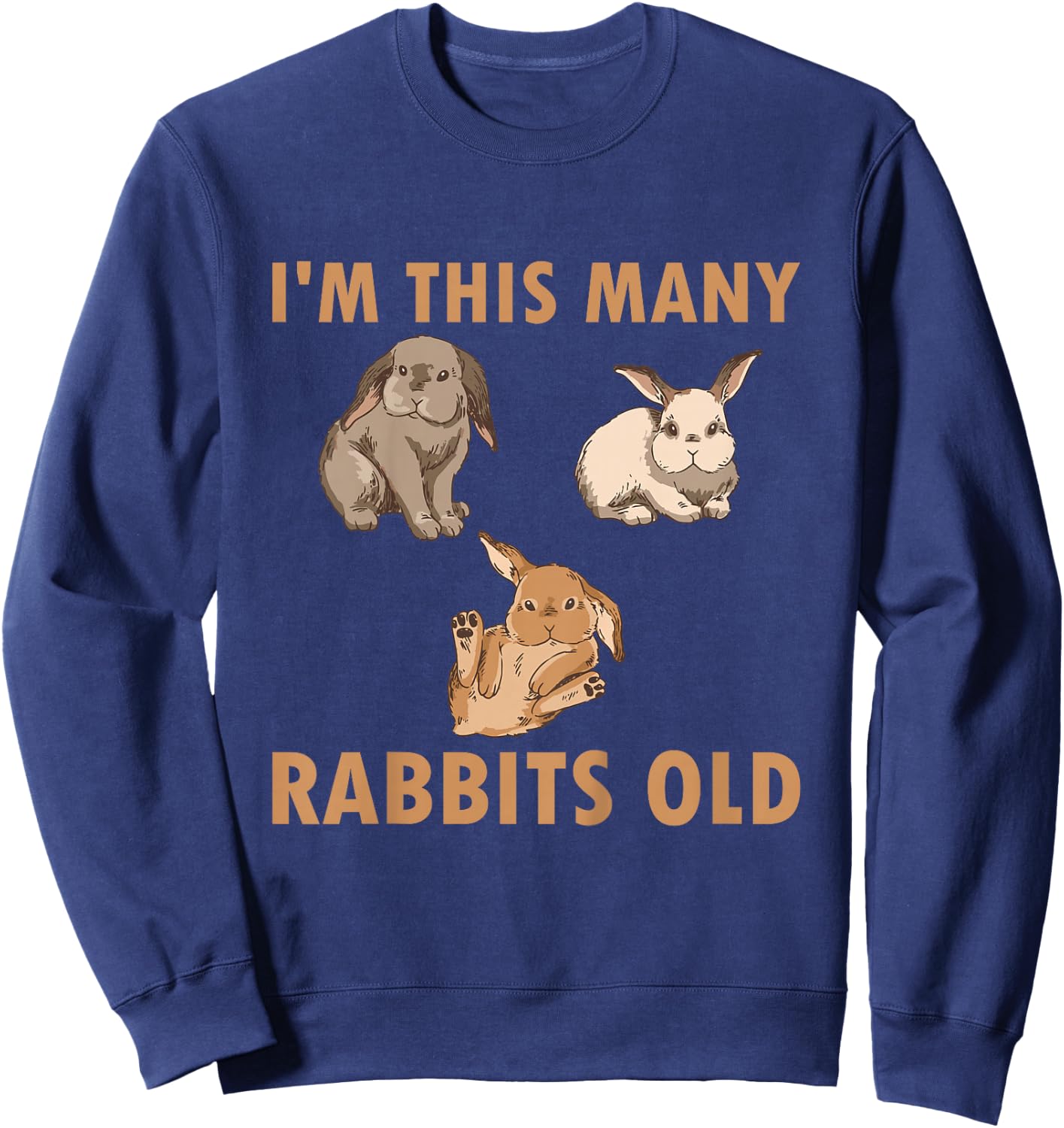 Kids 3 Year Old Bunny Rabbits Old 3rd Birthday Sweatshirt - Sweatshirt | Navy