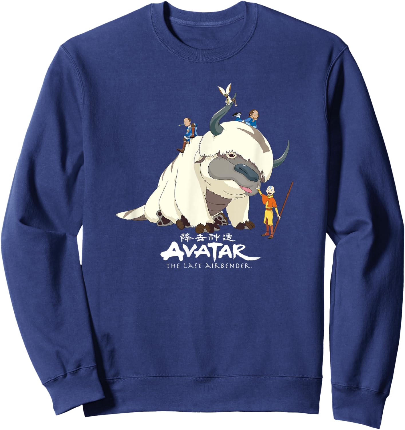 Avatar: The Last Airbender Team Avatar Group Shot Distressed Sweatshirt - Sweatshirt | Navy