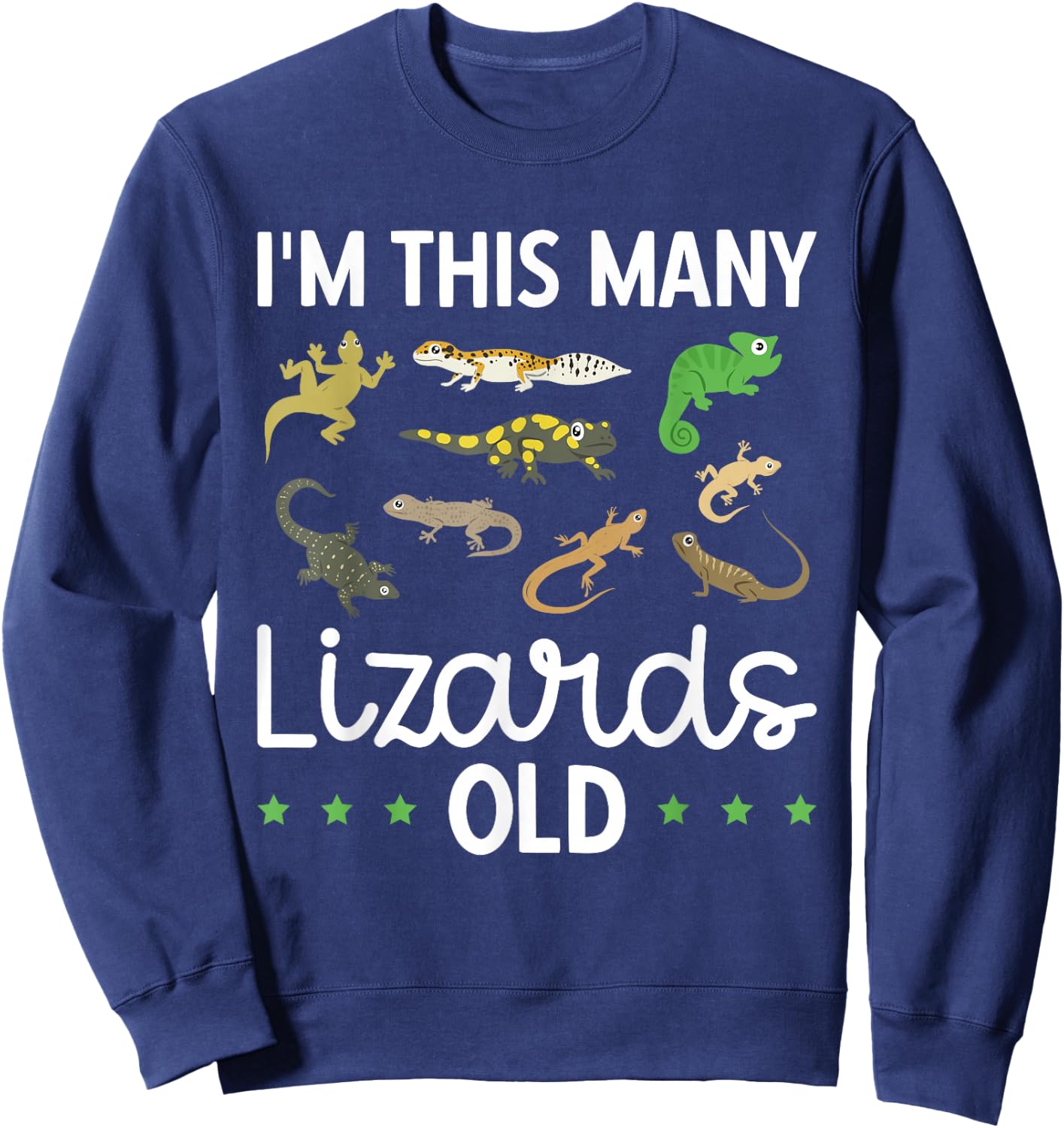 Children's Reptile Lizard Birthday Sweatshirt - Sweatshirt | Navy