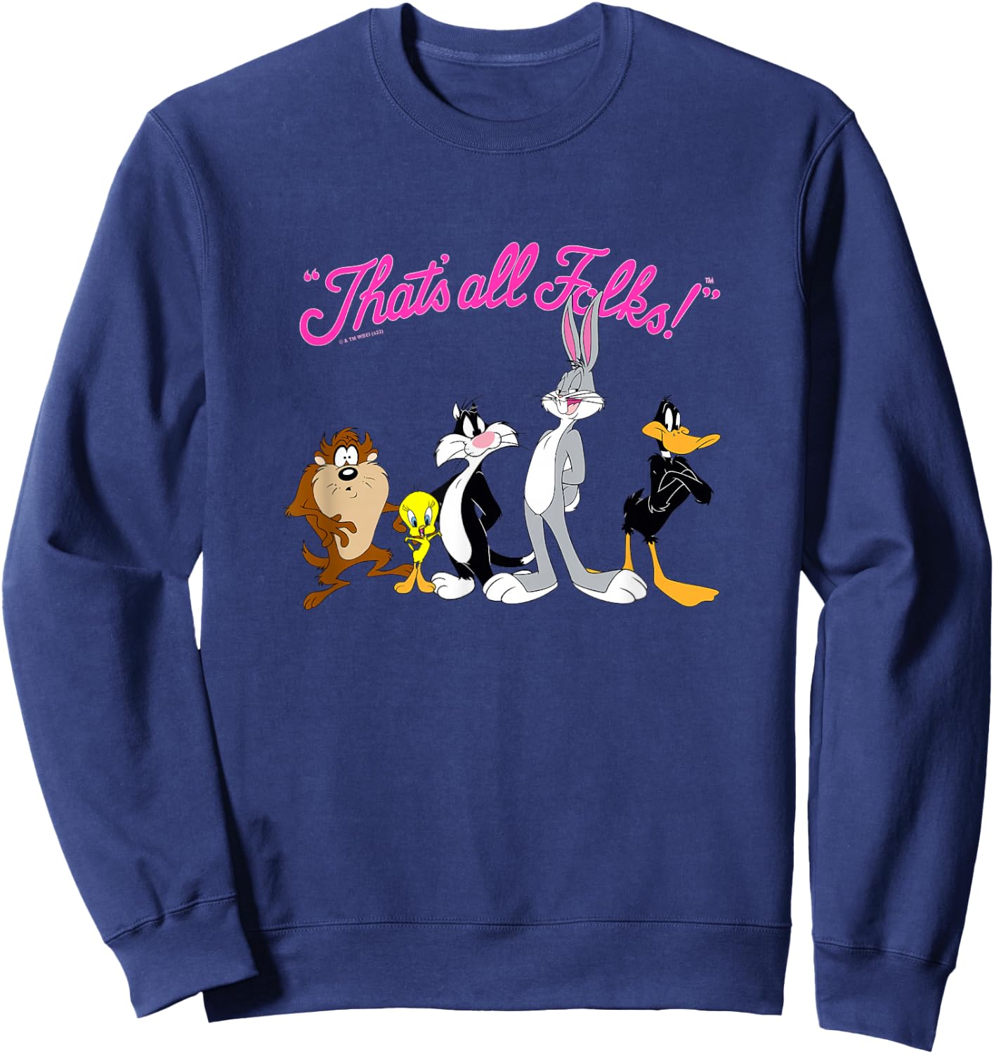 Looney Tunes That's All Folks! Logo Group Shot Sweatshirt - Sweatshirt | Navy