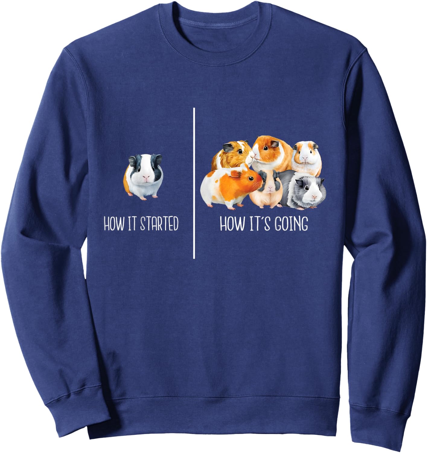 How It Started How It's Going - Guinea Pig Rodent Pet Lover Sweatshirt - Sweatshirt | Navy